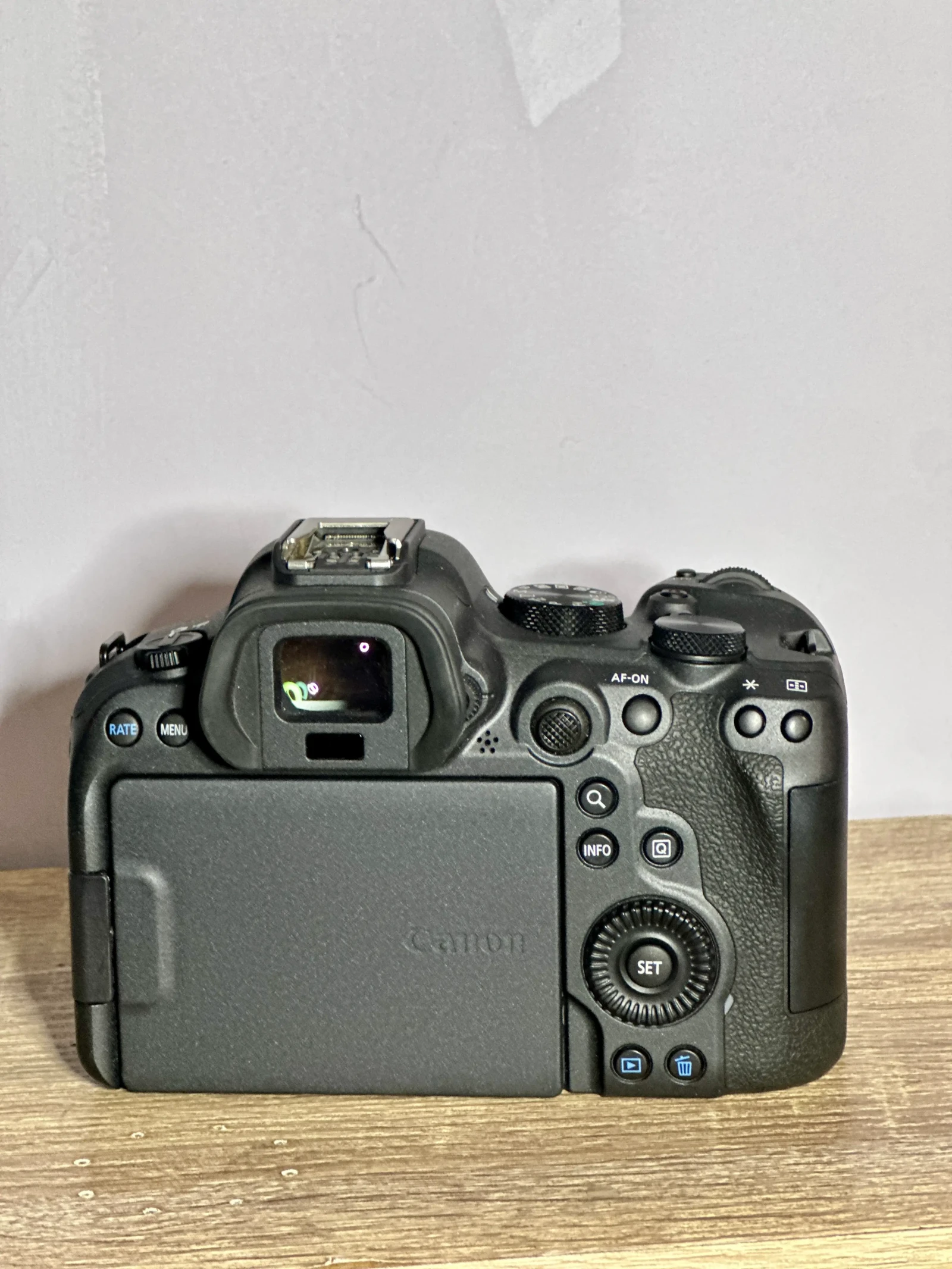 Canon R6 Mark II - Photo 3 sur 4