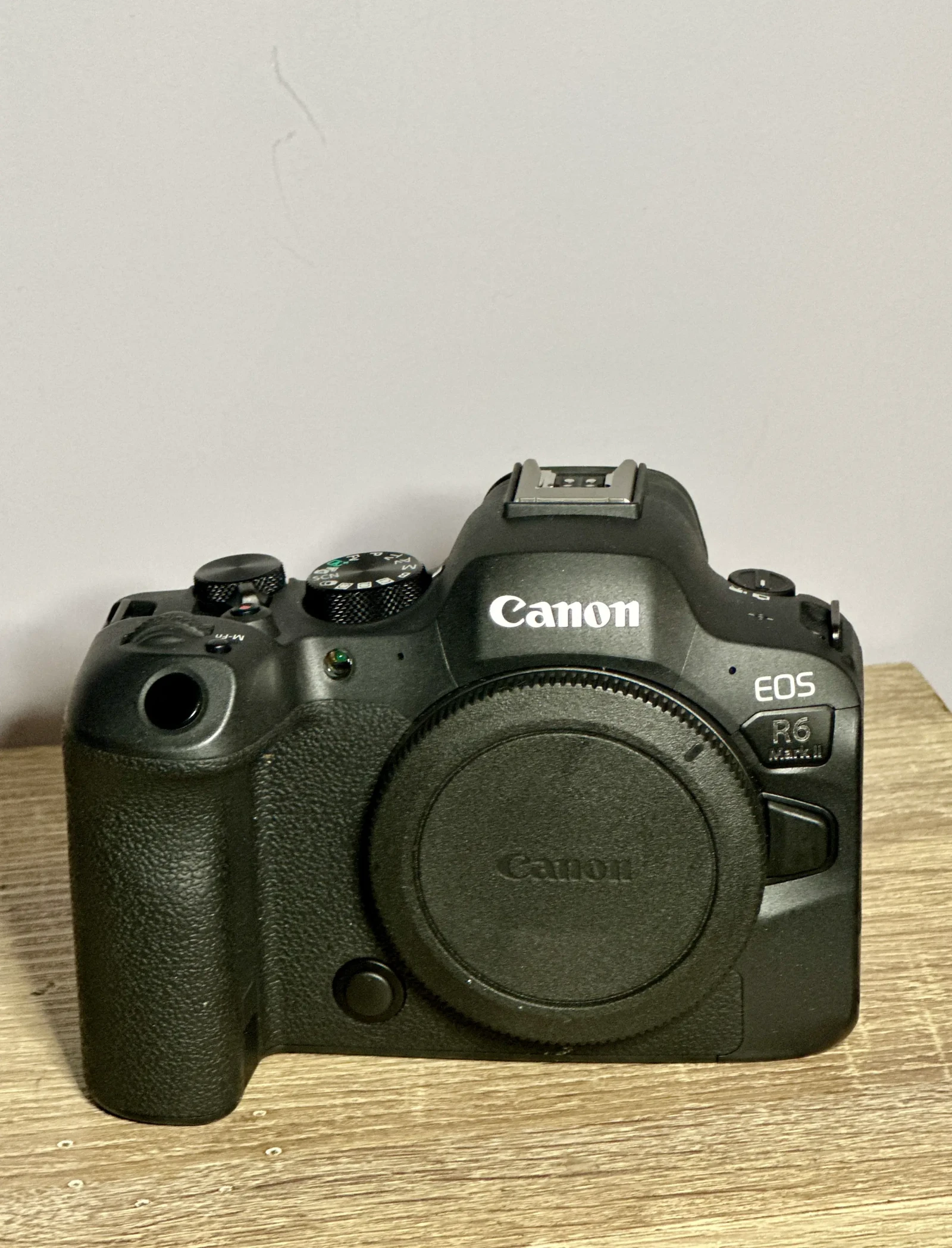Canon R6 Mark II - Photo 1 sur 4