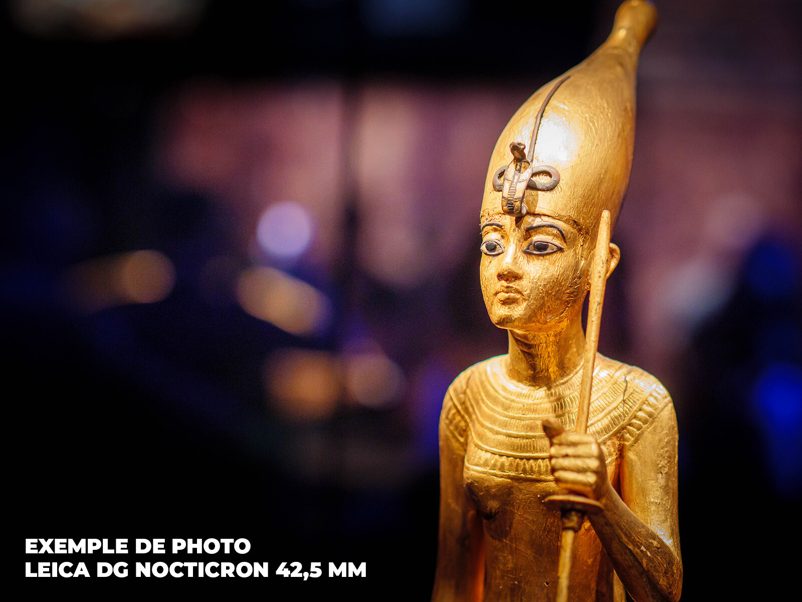Panasonic Leica DG Nocticron 42,5 mm f/1,2 ASPH - Objektif portrait - Bokeh - Photo 2 sur 3