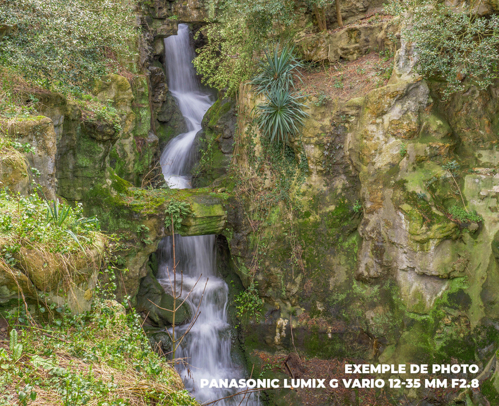 Panasonic Lumix G Vario 12-35 mm F2.8 II ASPH - Photo 3 sur 4