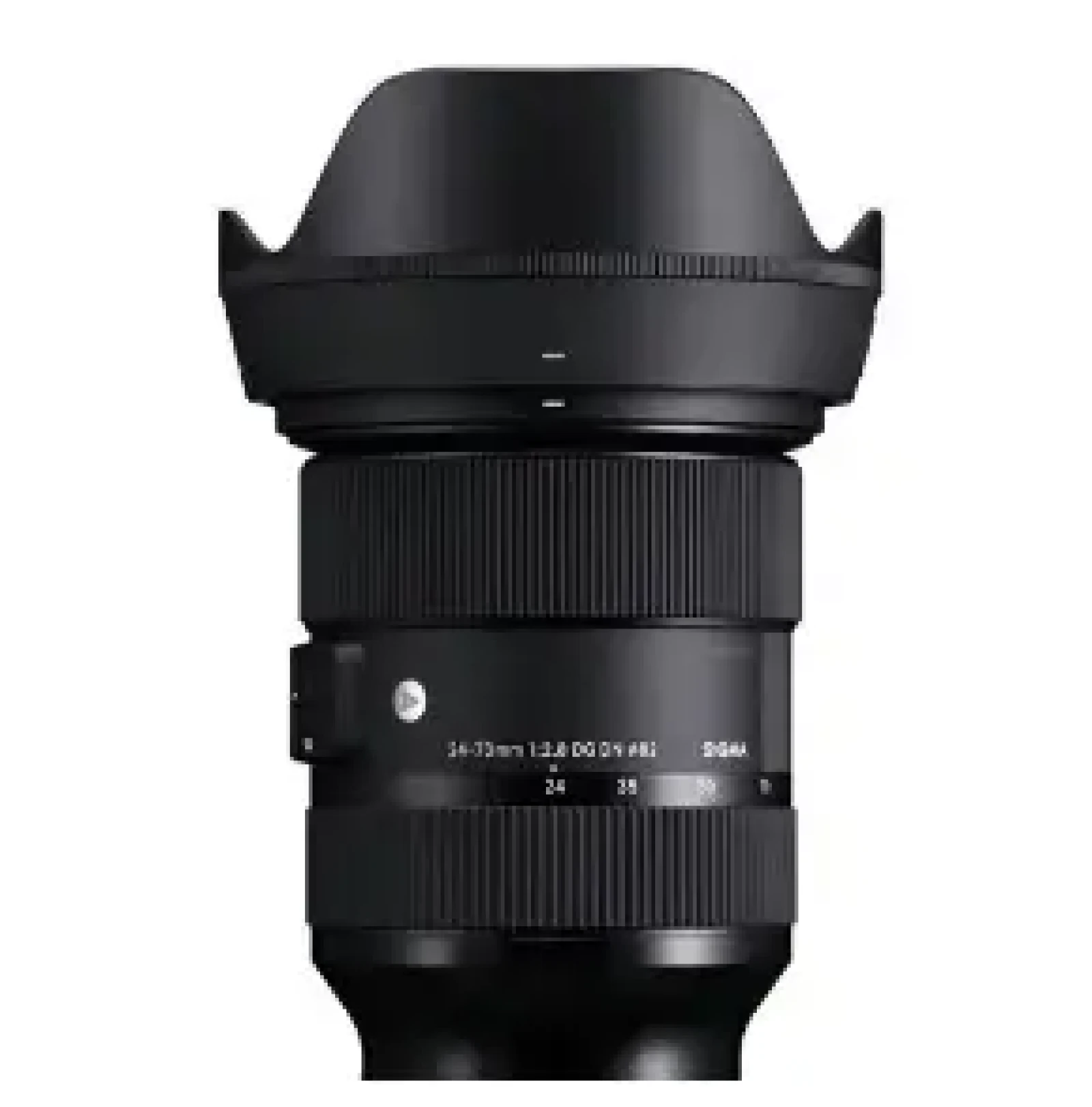 Sigma 24-70 F/2.8 sony E - Photo 1 sur 1