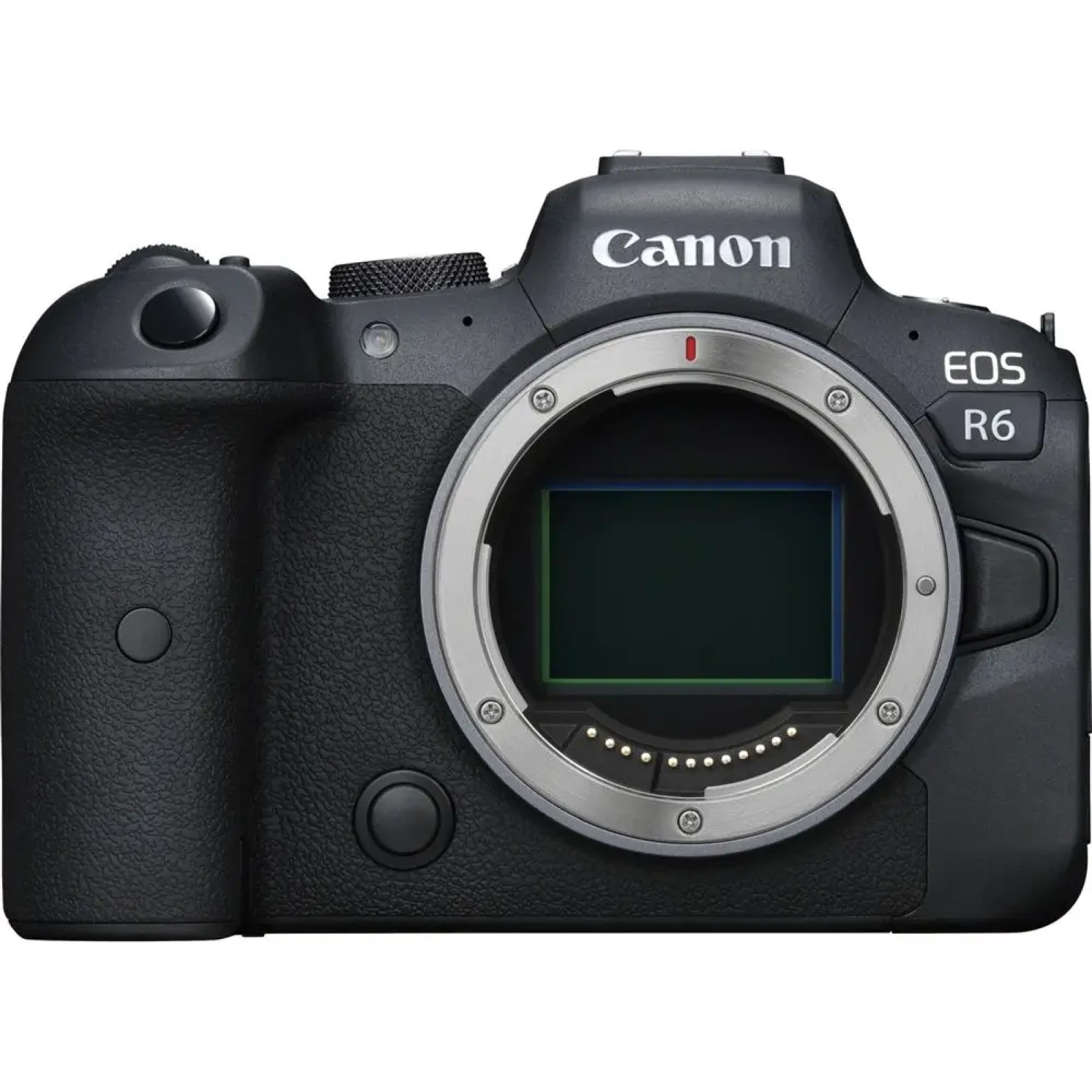 Canon R6 - Photo 1 sur 1