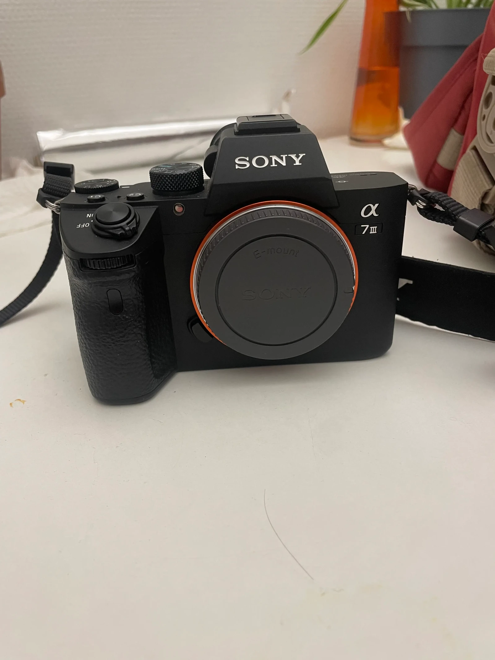 Sony Alpha 7S III (A7S3) - Photo 1 sur 1