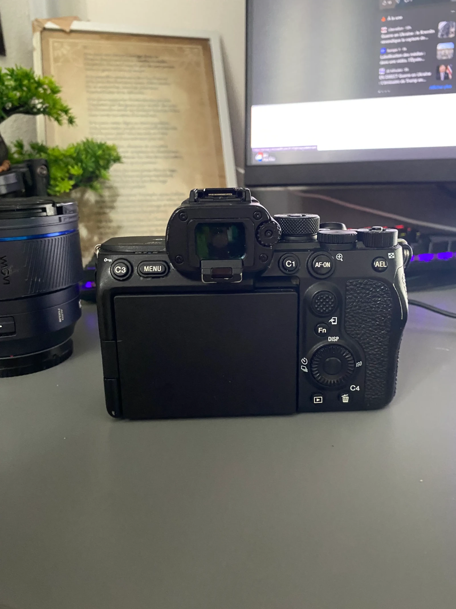 Sony Alpha - Photo 3 sur 5