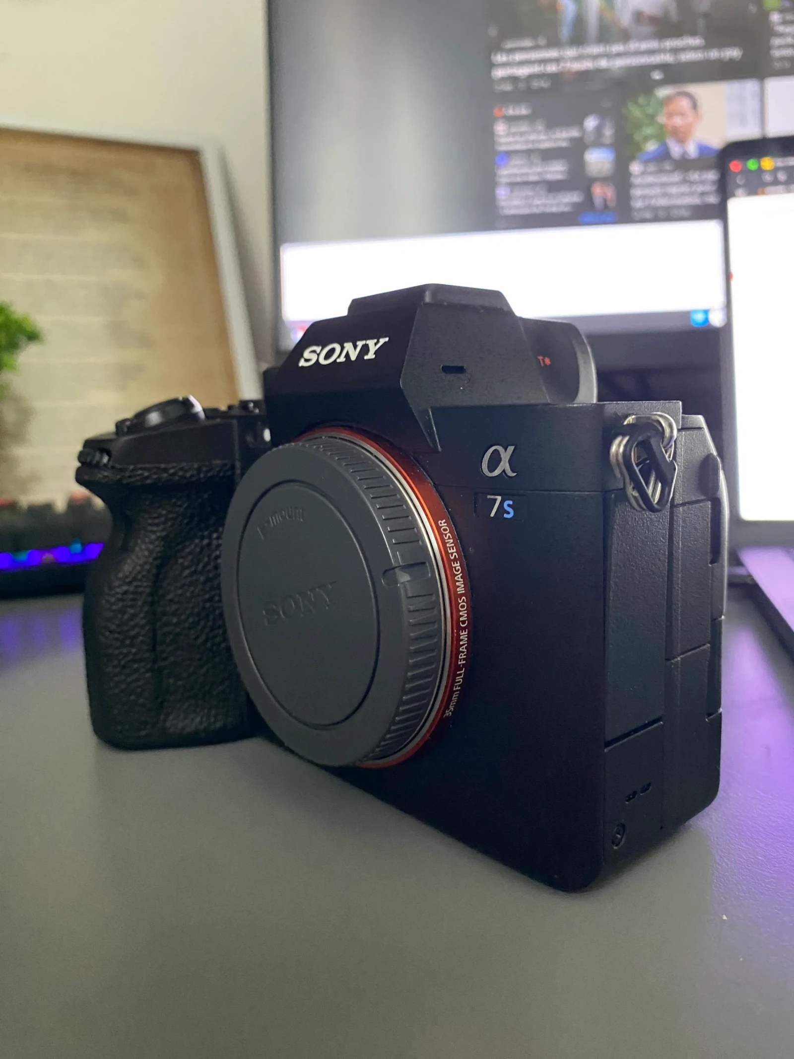 Sony Alpha - Photo 4 sur 5
