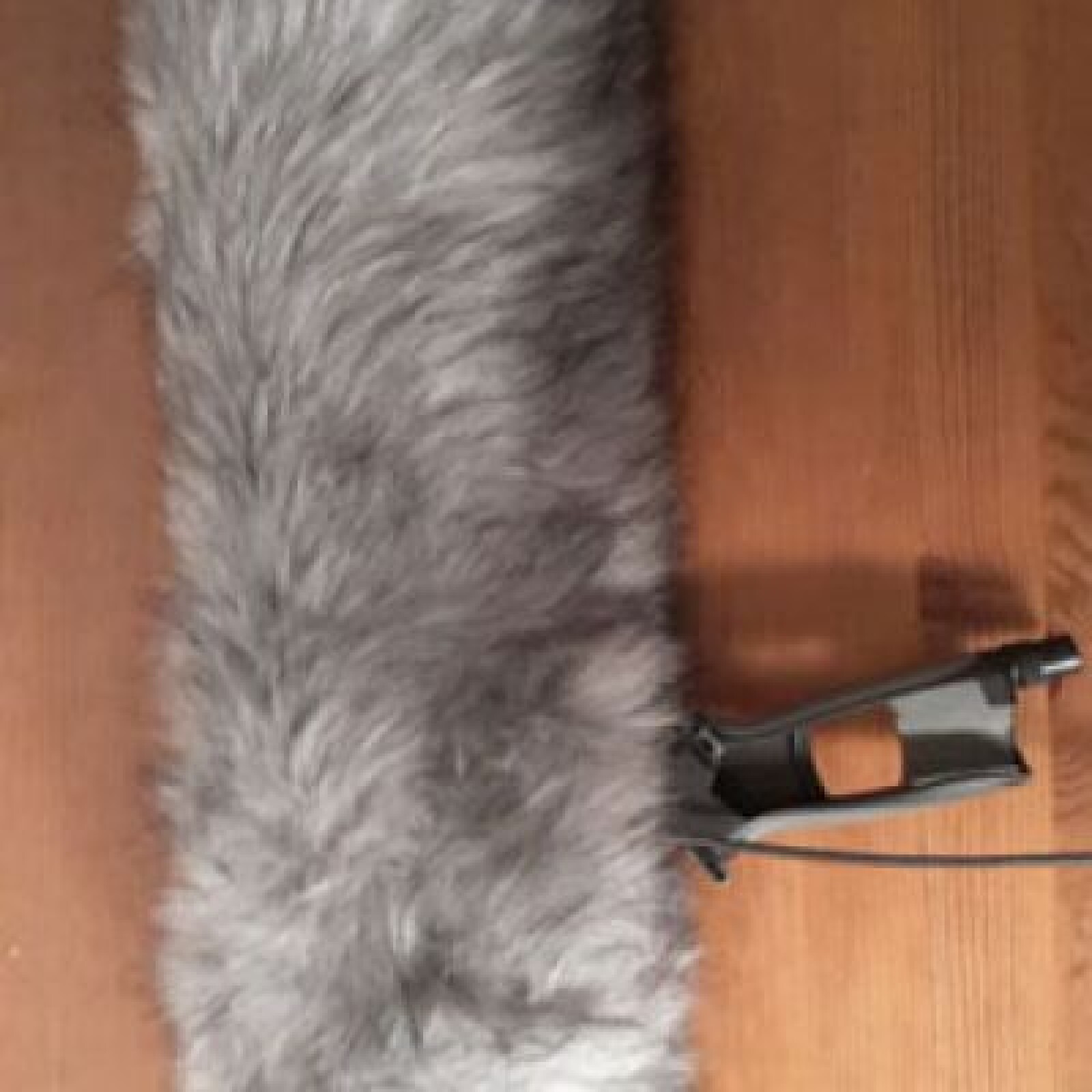 Rycote Super Shield Kit Large - Photo 1 sur 5