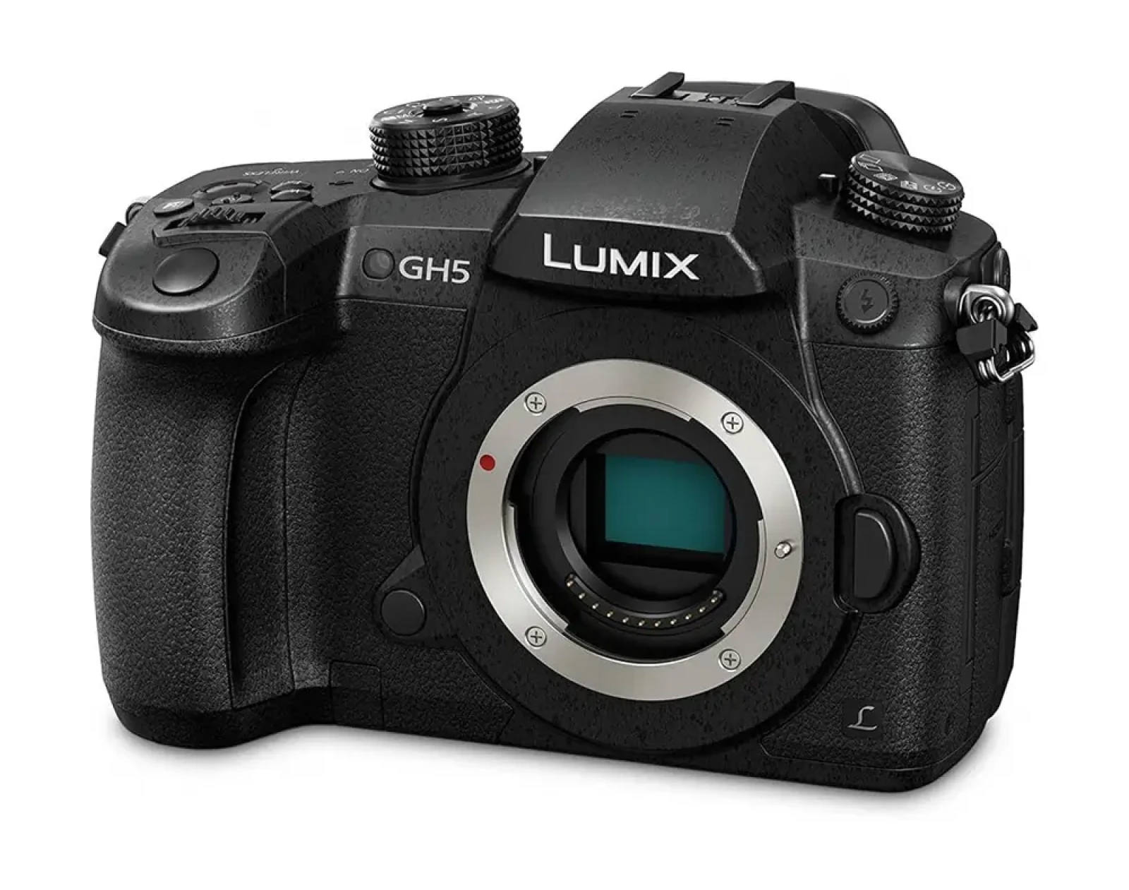 Panasonic LUMIX GH5 - Photo 1 sur 1