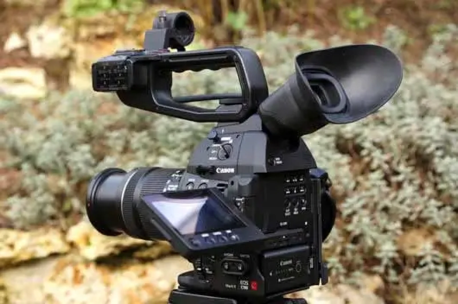 Pack Canon C100 MarkII - Photo 3 sur 4