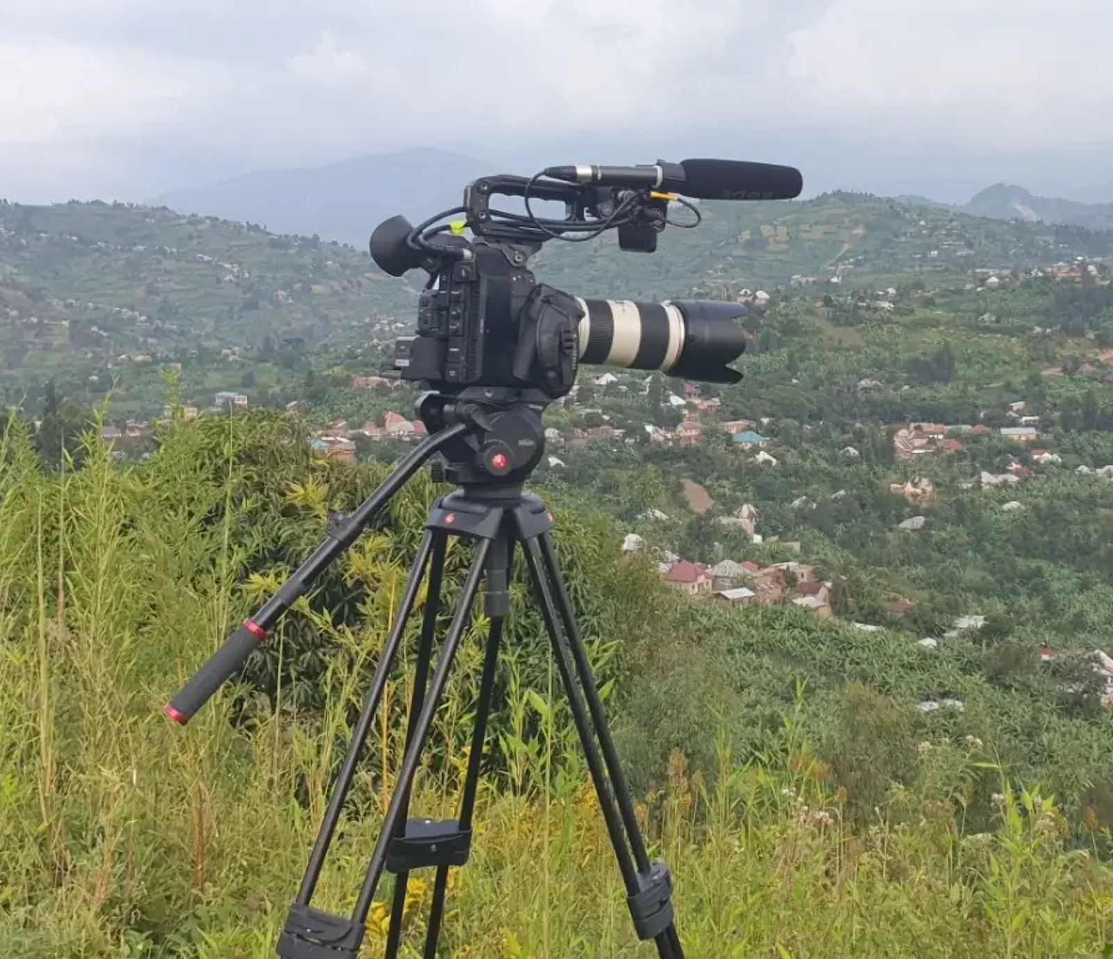 Canon EOS C300 Mark II - Photo 2 sur 2