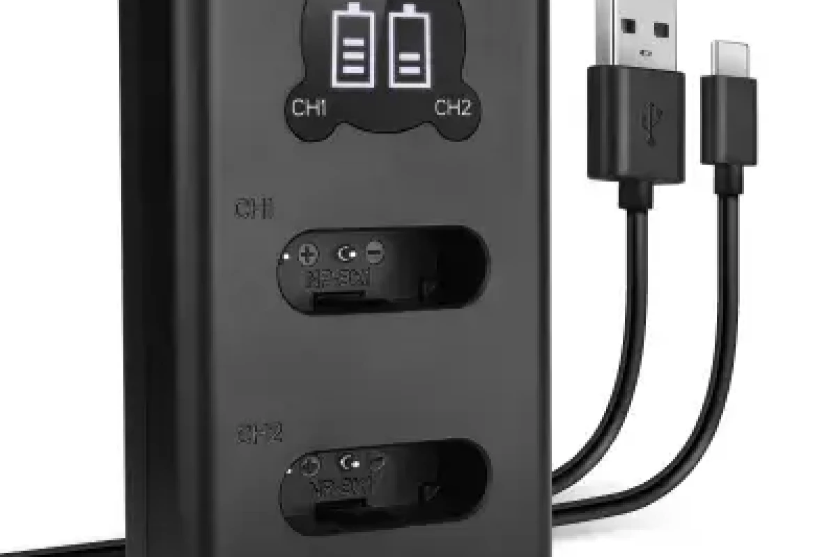 Location SONY Chargeur double Type X - Lightyshare