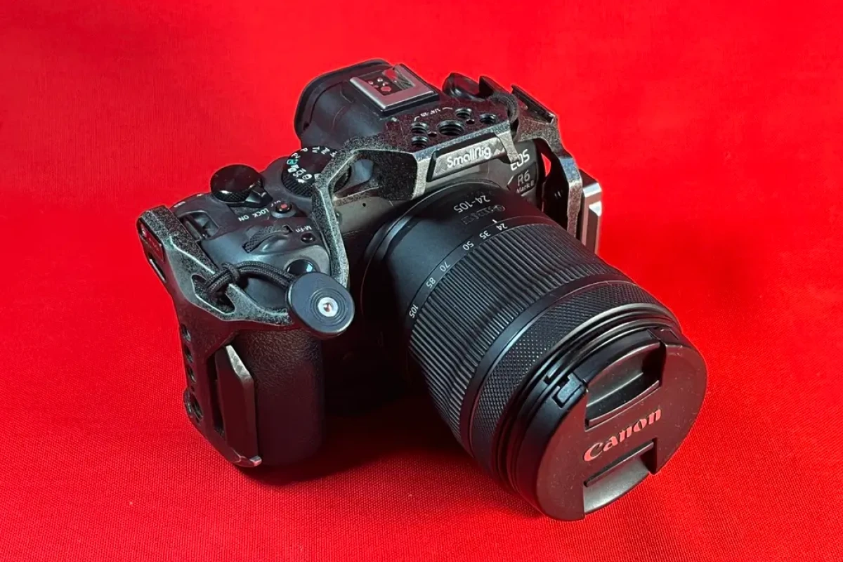 Location CANON EOS R6 Mark II + RF 24-105 f/4-7.1 - Lightyshare