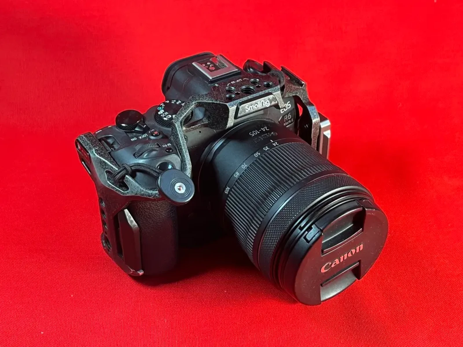 CANON EOS R6 Mark II + RF 24-105 f/4-7.1 - Photo 1 sur 5
