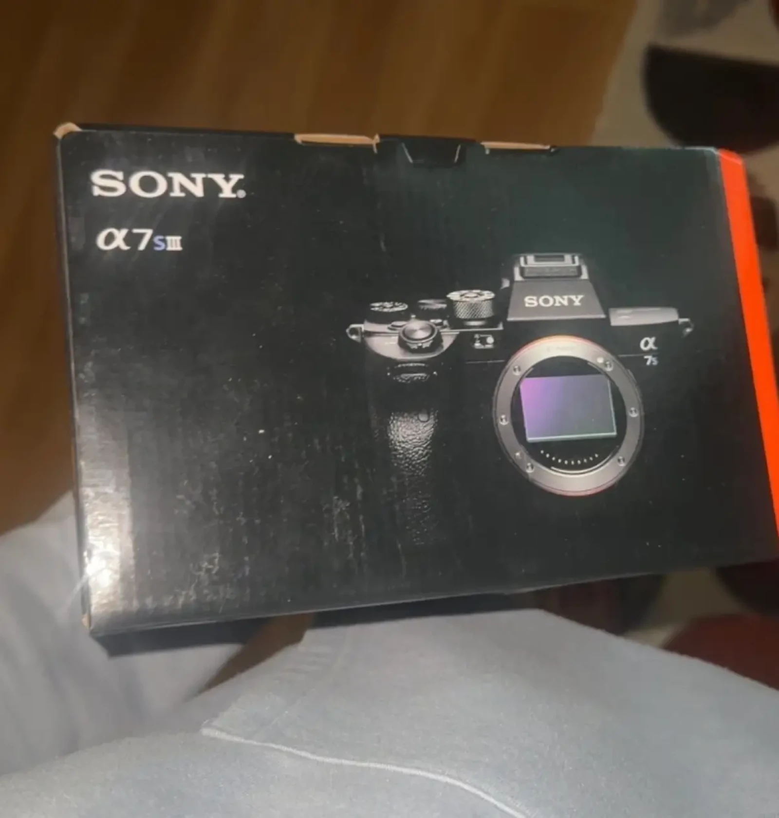 Sony Alpha A7S III - Photo 2 sur 3
