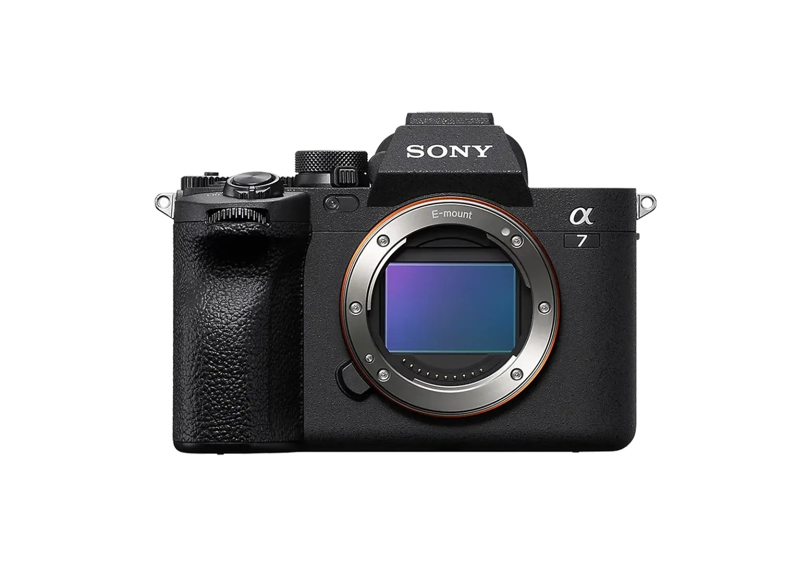 Sony Alpha 7 IV - Photo 1 sur 1