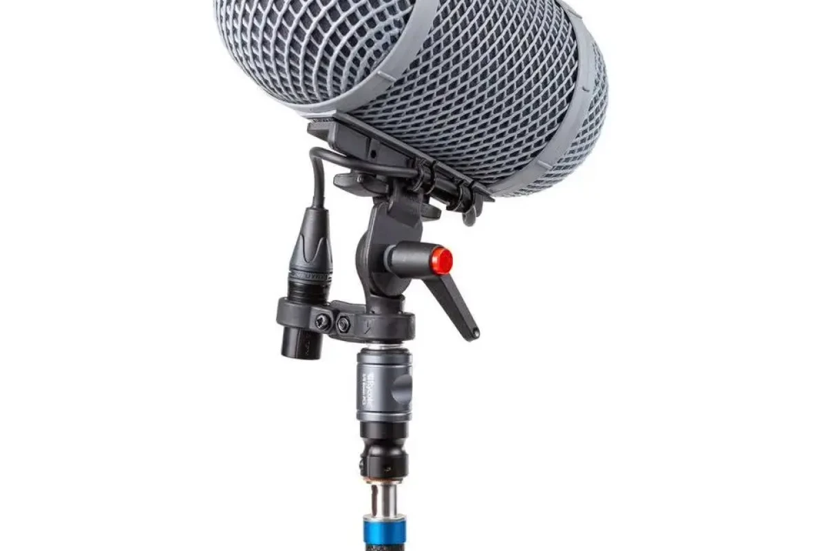 Location RYCOTE BOOM + DeadCat - Lightyshare