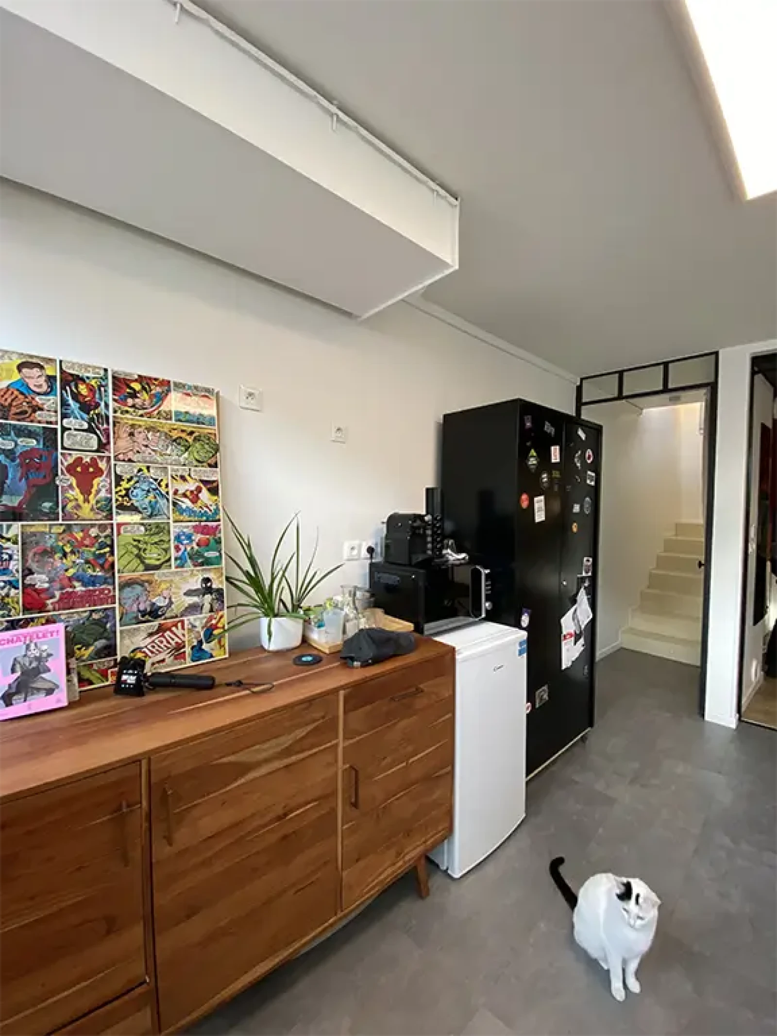 Studio photo/vidéo - Photo 5 sur 9