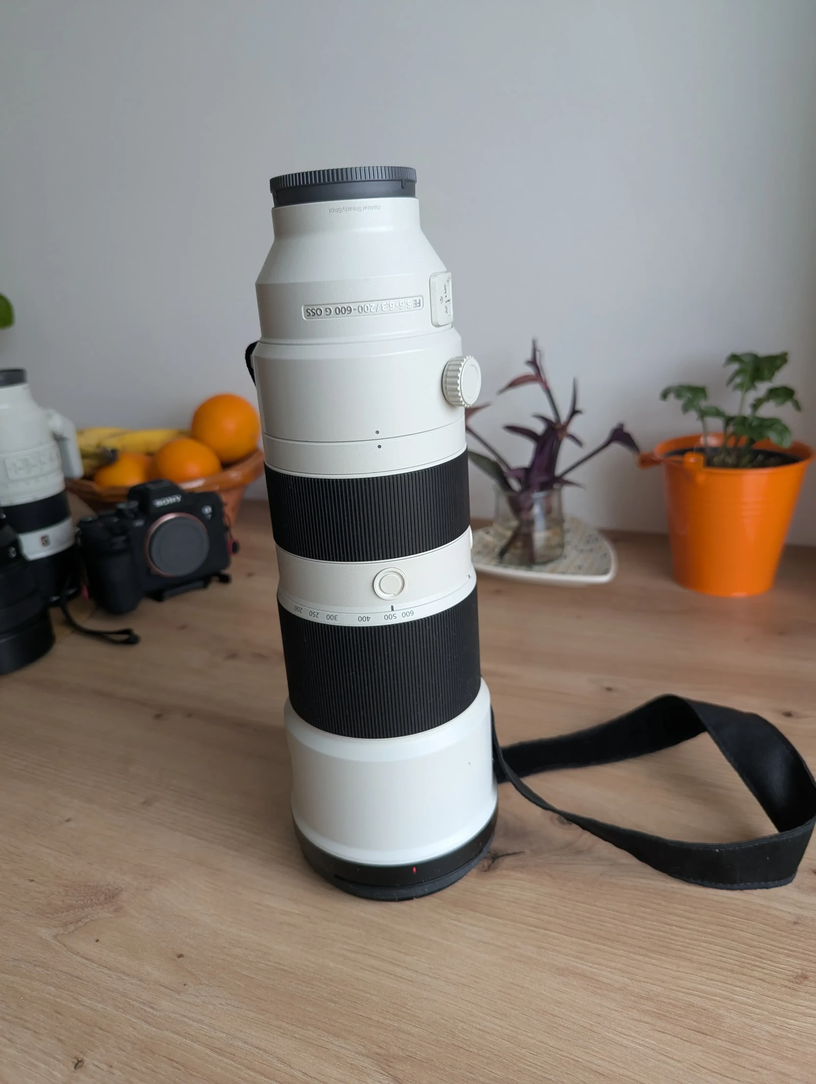 Sony FE 200-600mm f/5.6-6.3 G OSS - Photo 1 sur 3