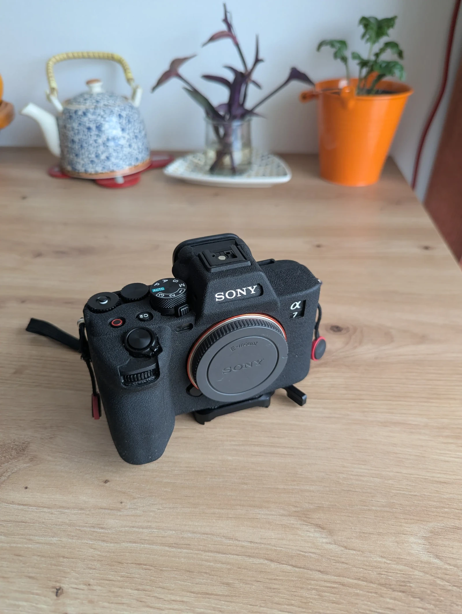 Sony Alpha 7 IV (A74) - Photo 1 sur 6