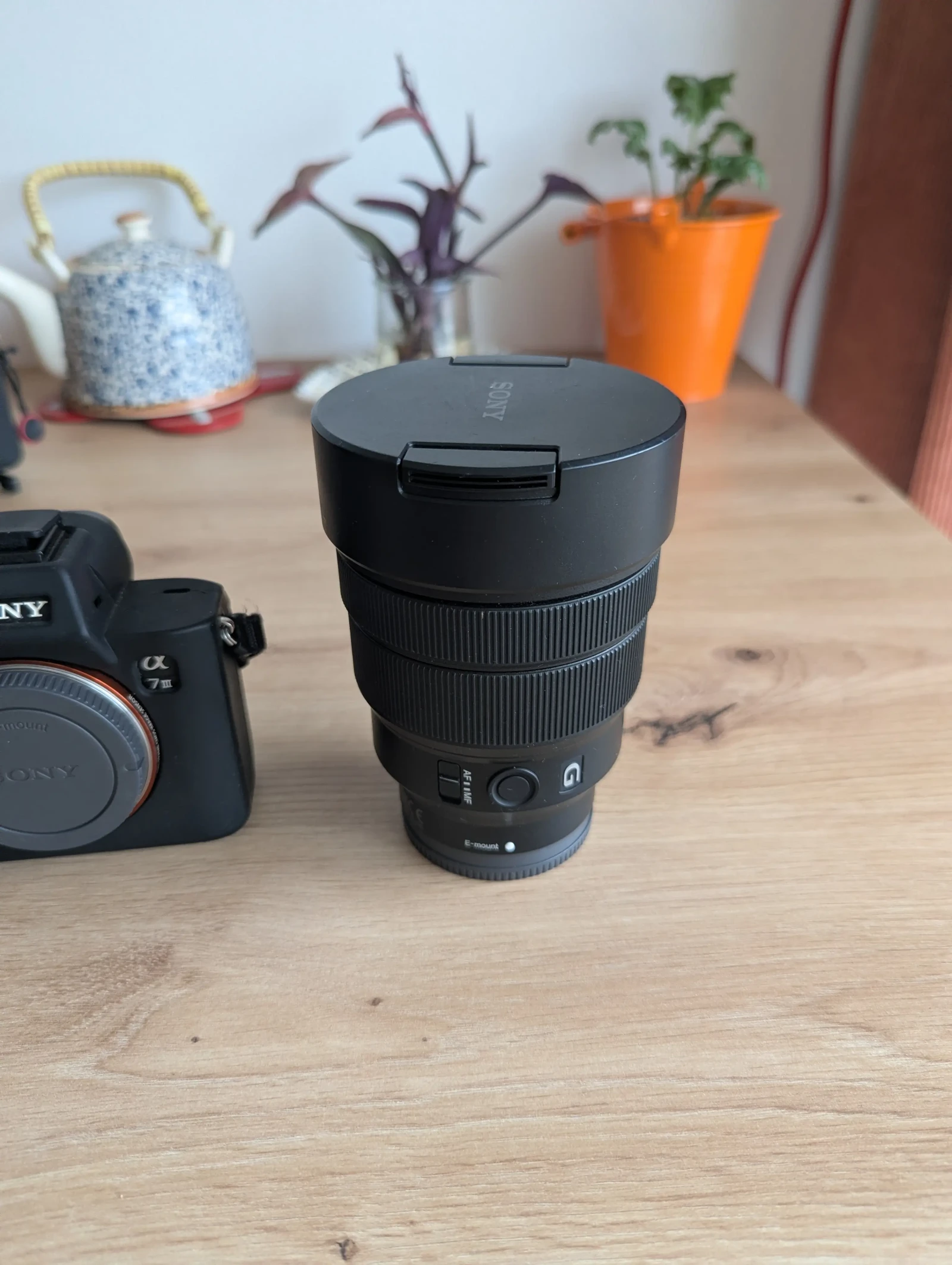 Sony FE 12-24mm F4 G - Photo 2 sur 2