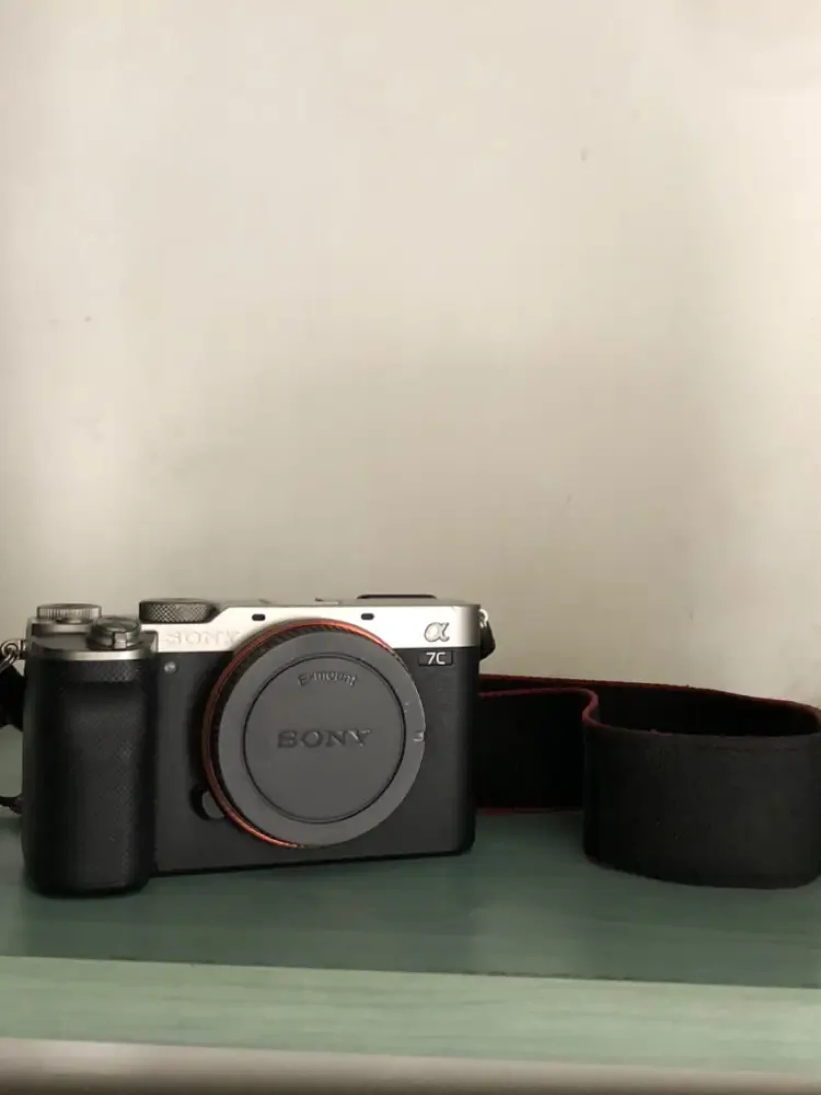 Sony Alpha 7C (A7C) - Photo 2 sur 2