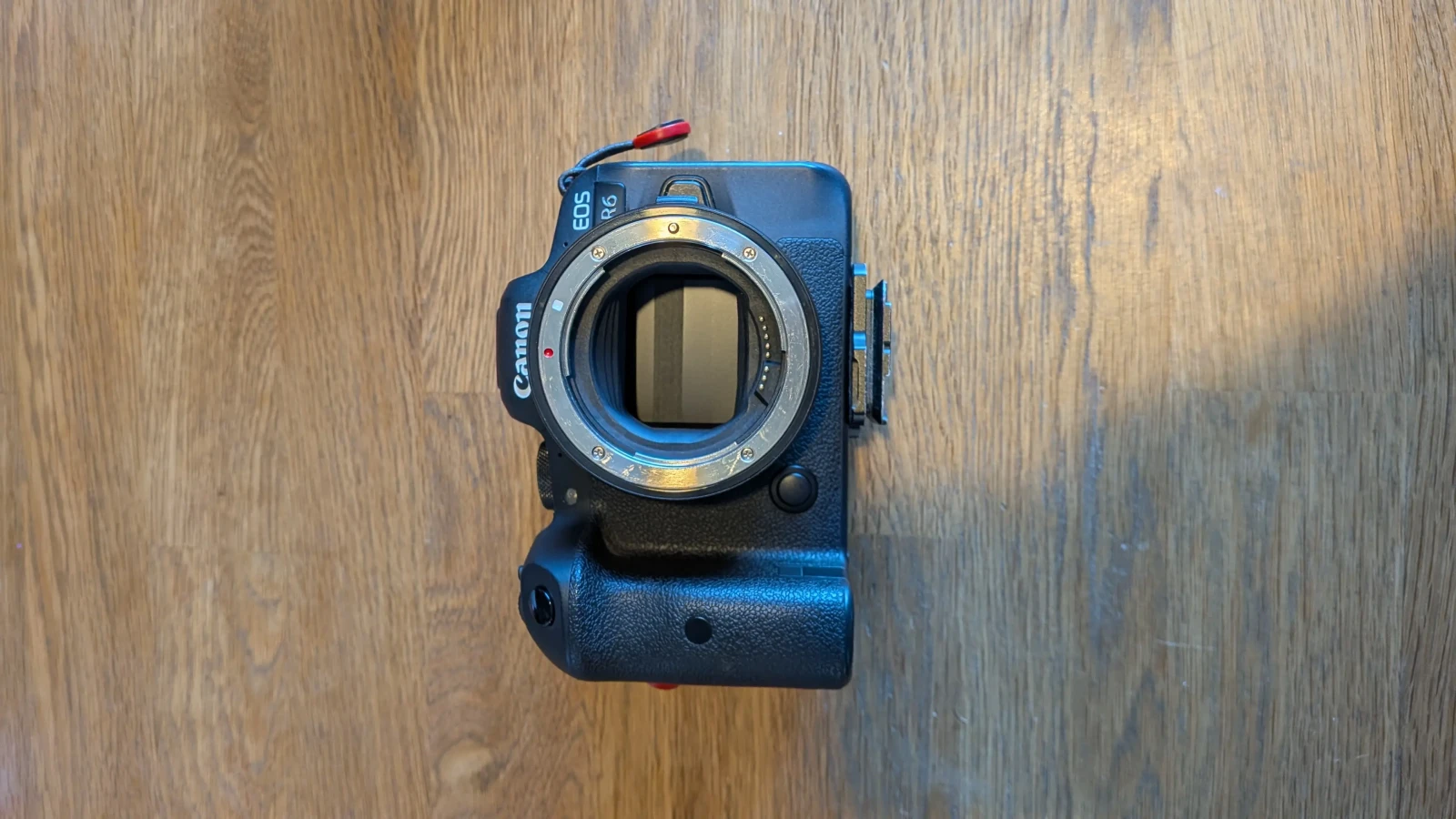 Canon R6 - Photo 1 sur 3