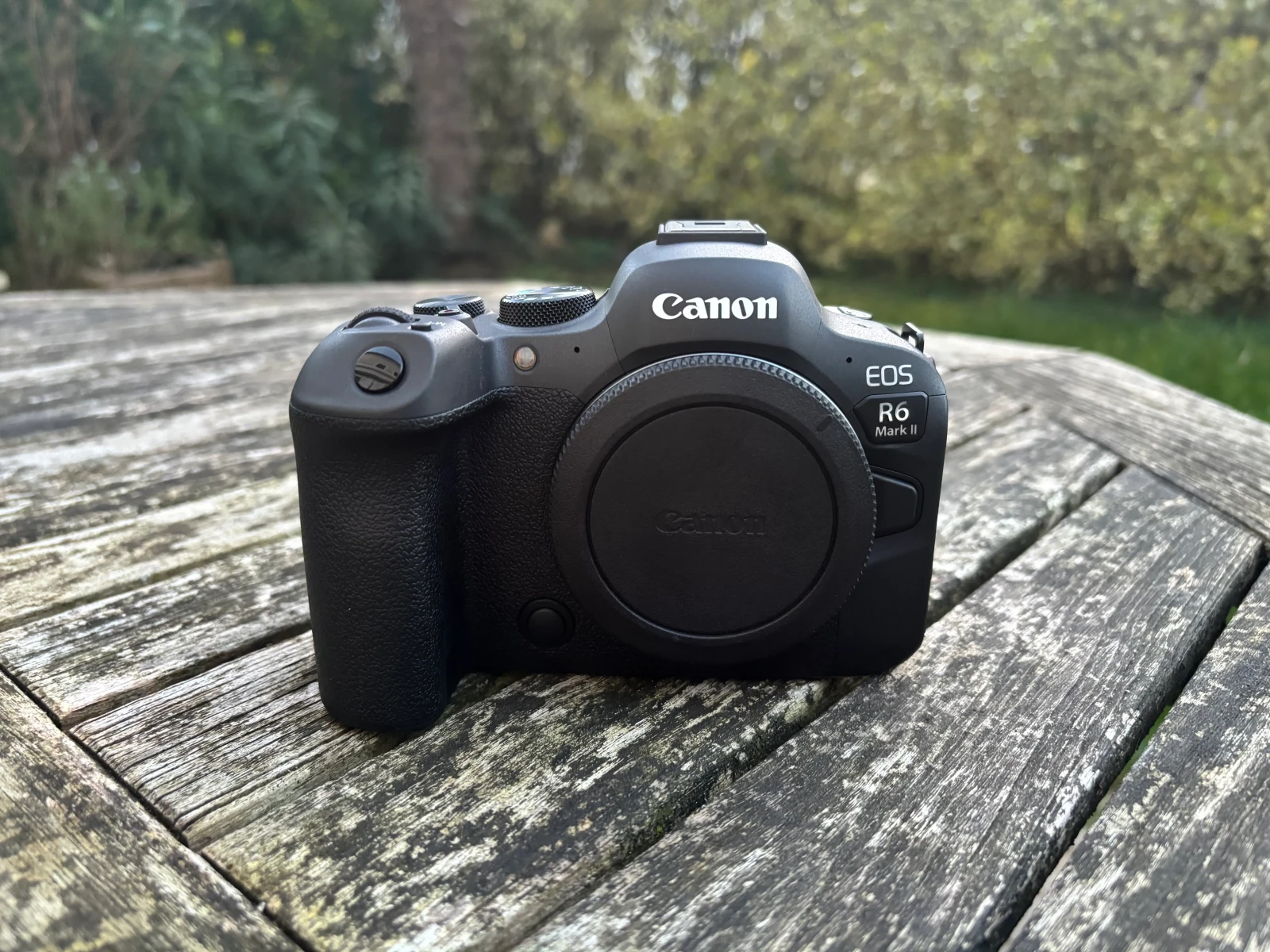Canon EOS R6 Mark II - Photo 1 sur 5