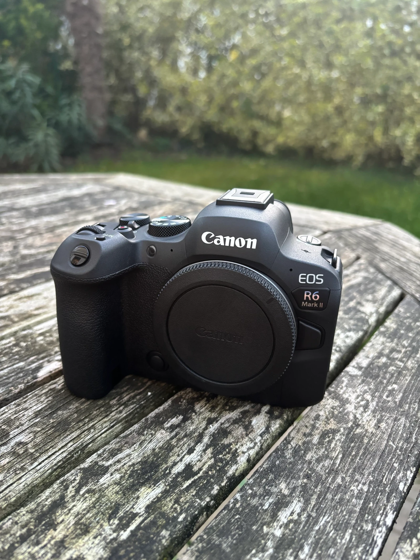 Canon EOS R6 Mark II - Photo 5 sur 5