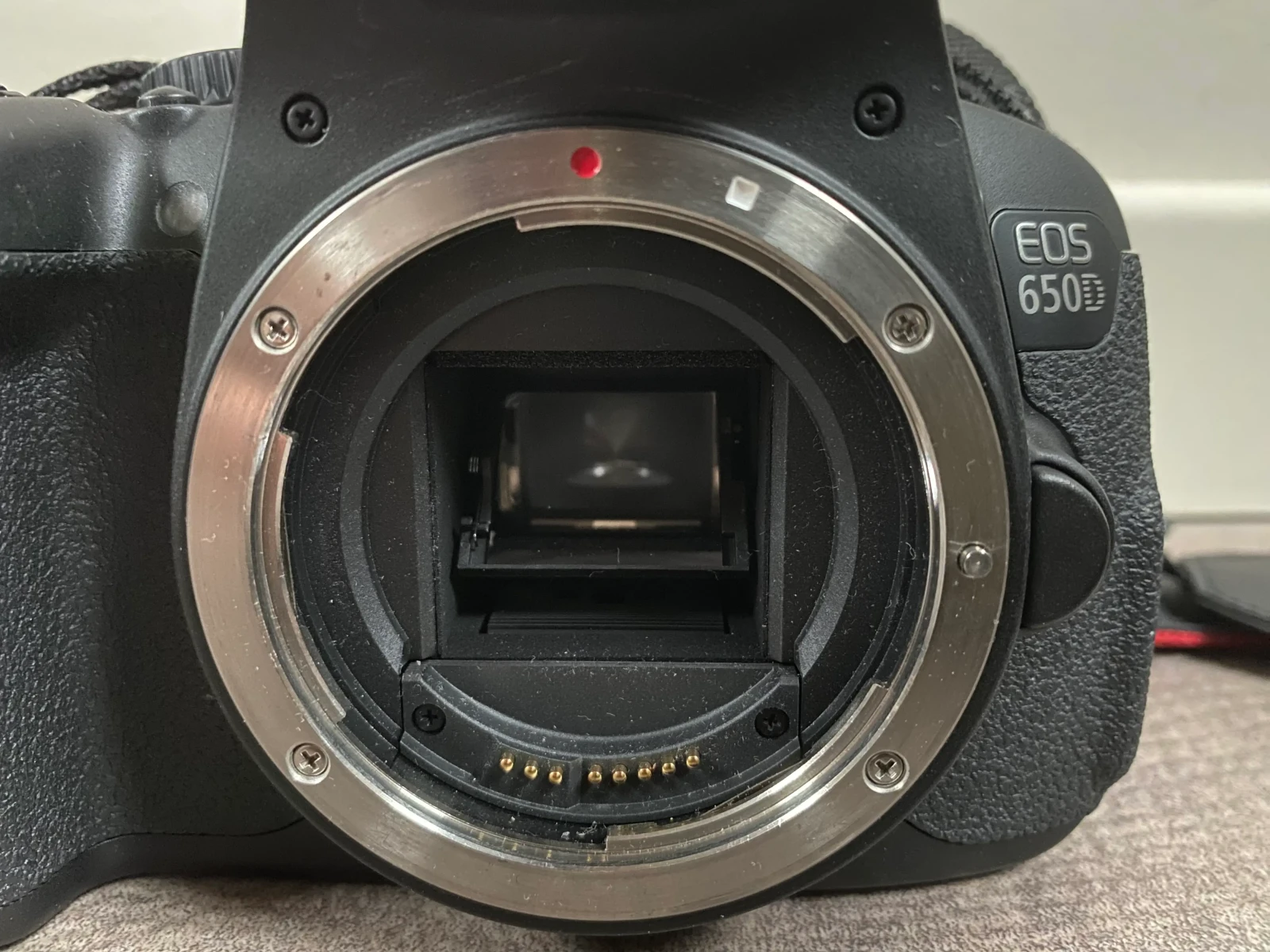 Canon EOS 650D - Photo 3 sur 3