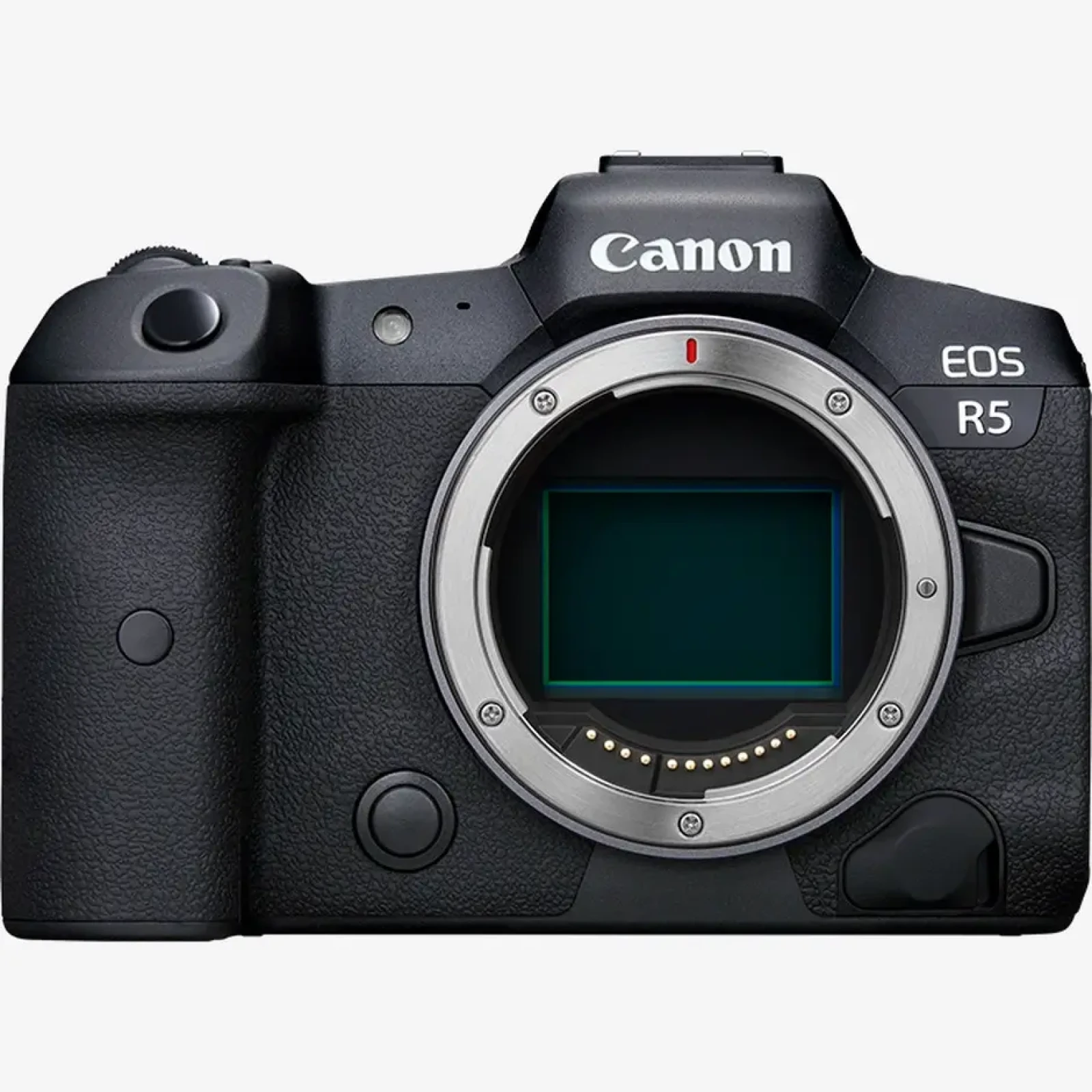 Canon EOS R5 - Photo 1 sur 1