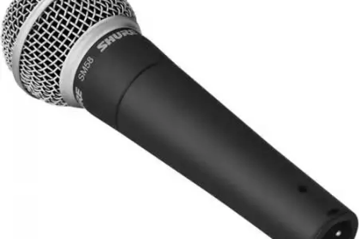Location Shure SM58 - Lightyshare