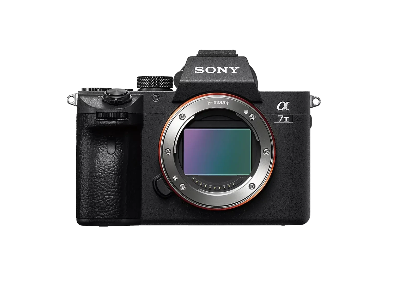 Sony Alpha 7 III (A73) - Photo 1 sur 1