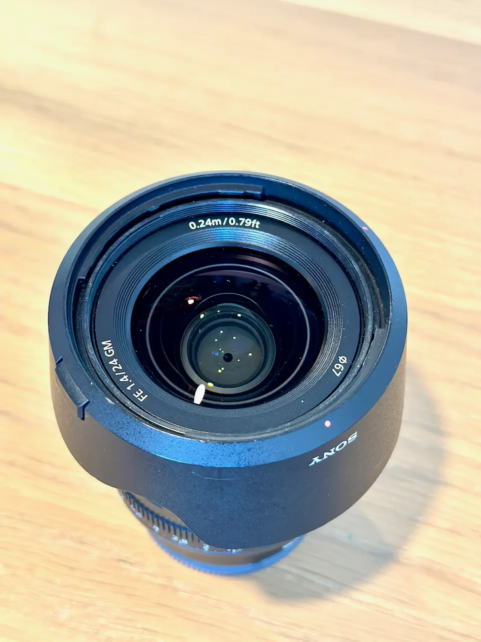 Sony A7R5 + Sony FE 24 mm F/1.4 GM - Photo 12 sur 15