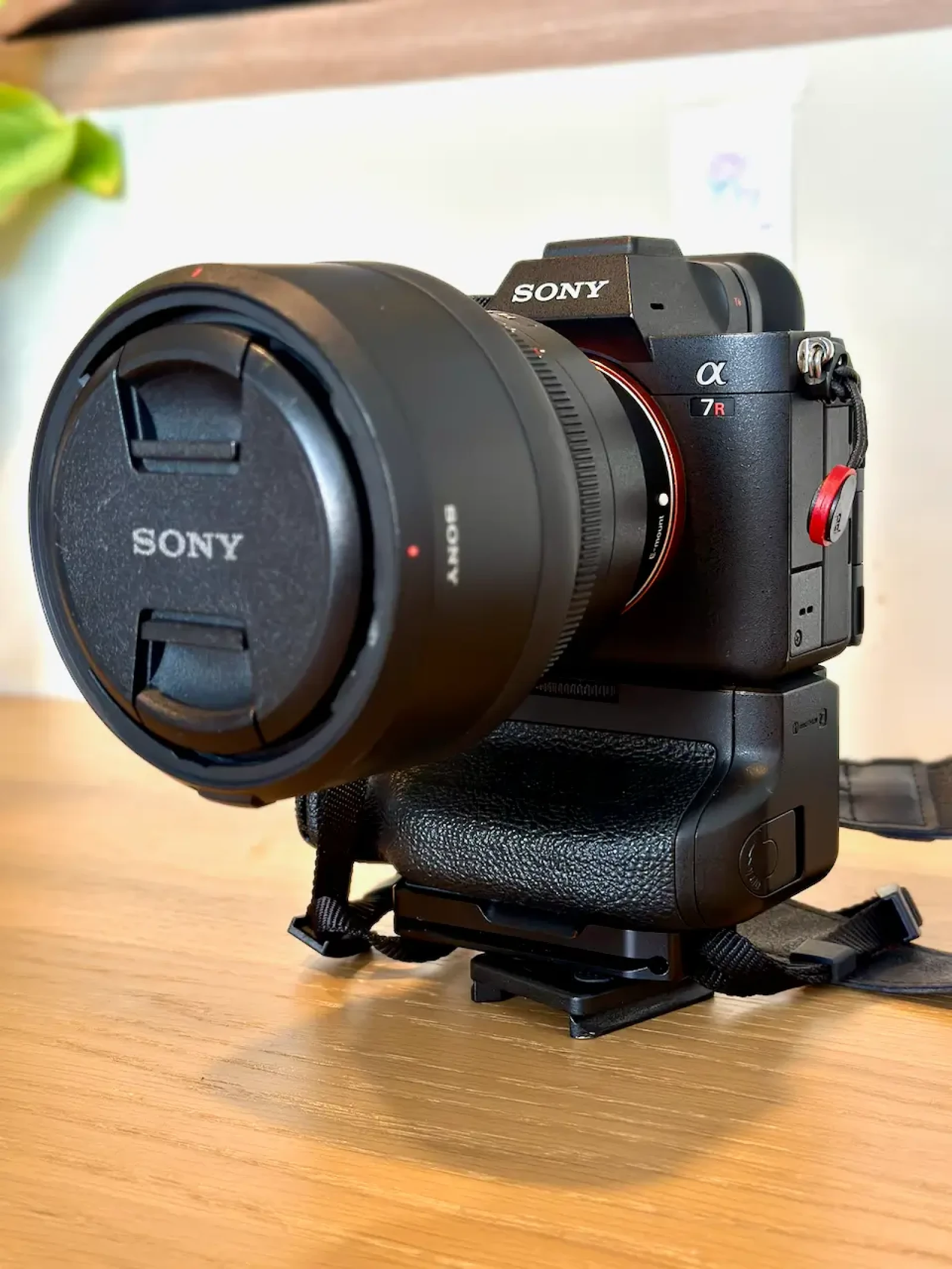 Sony A7R5 + Sony FE 24 mm F/1.4 GM - Photo 1 sur 15