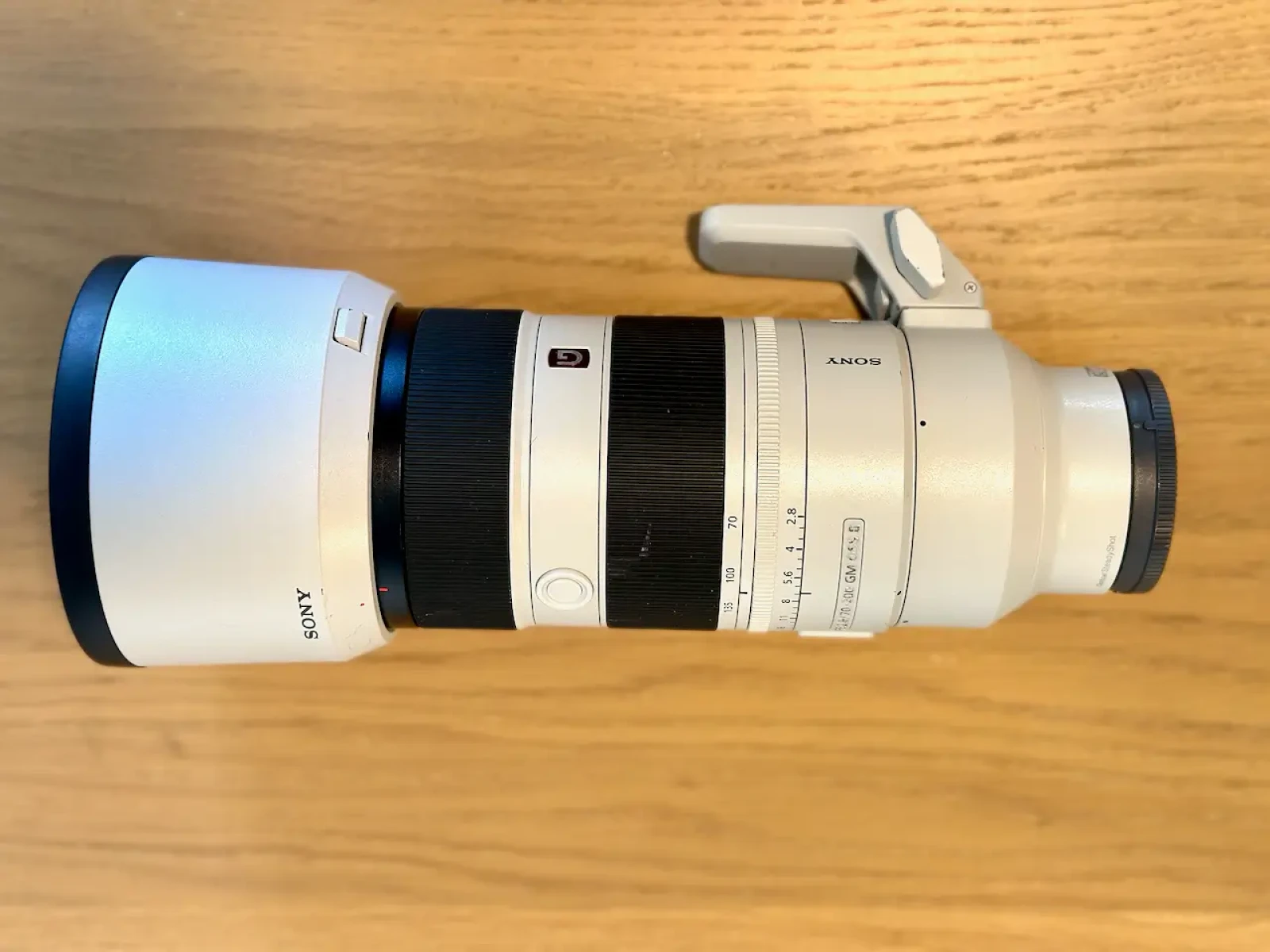 Sony A7R5 + Sony FE 70-200 mm F/2.8 GM OSS II - Photo 14 sur 15