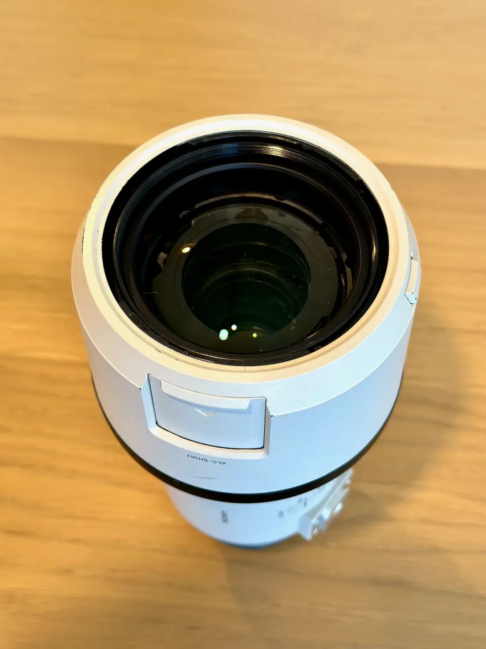 Sony A7R5 + Sony FE 70-200 mm F/2.8 GM OSS II - Photo 13 sur 15