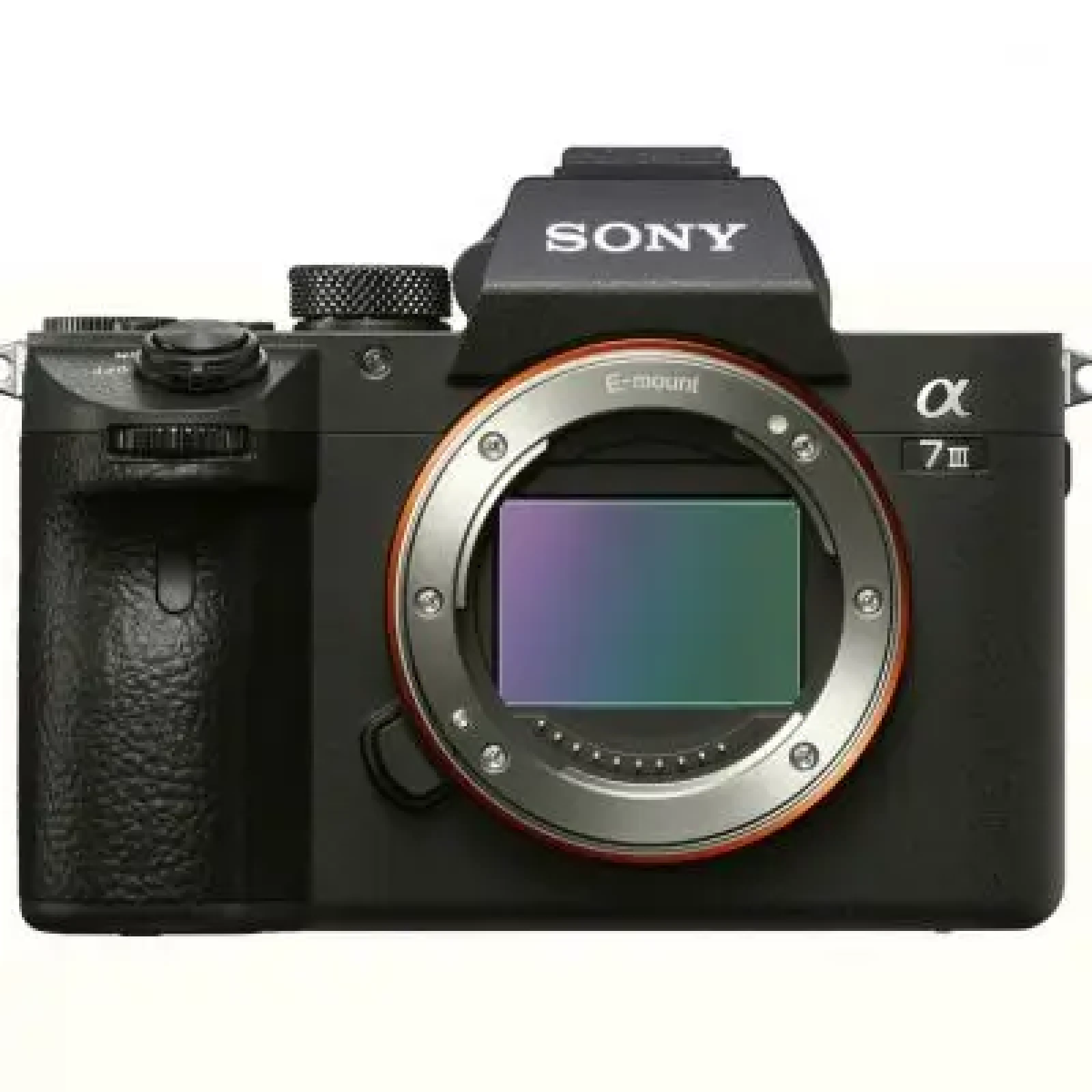 Sony Alpha 7 III (A73) - Photo 1 sur 1