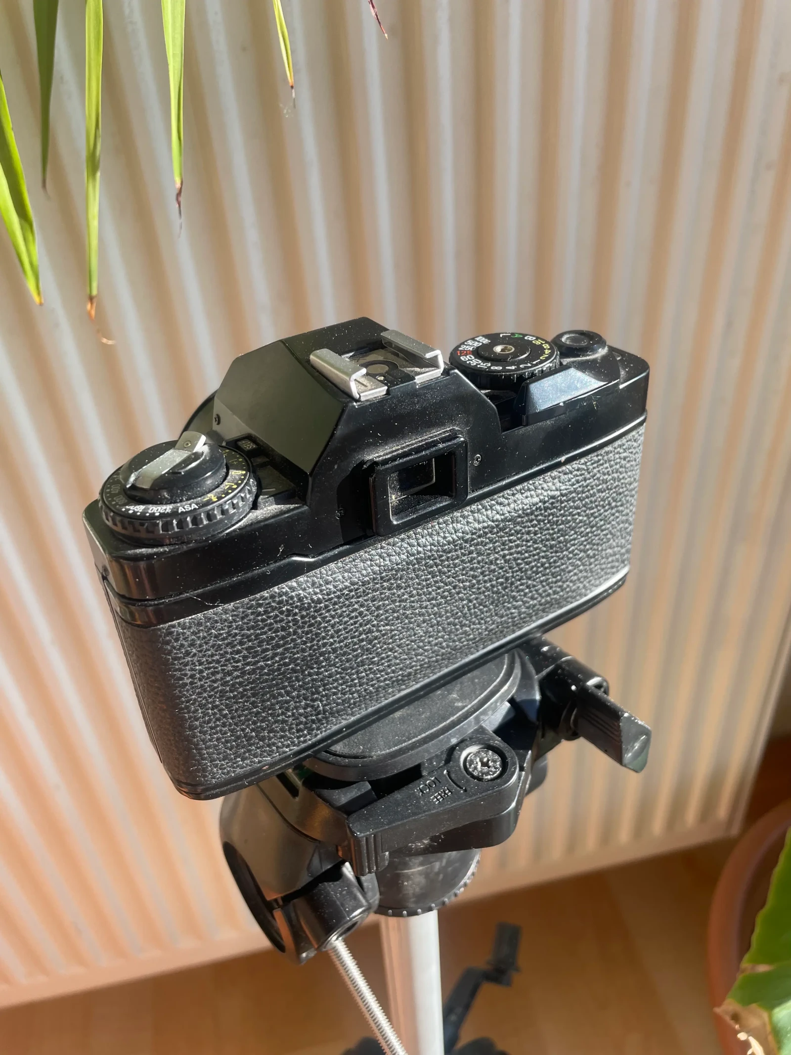 Ricoh KR10 - Photo 3 sur 3