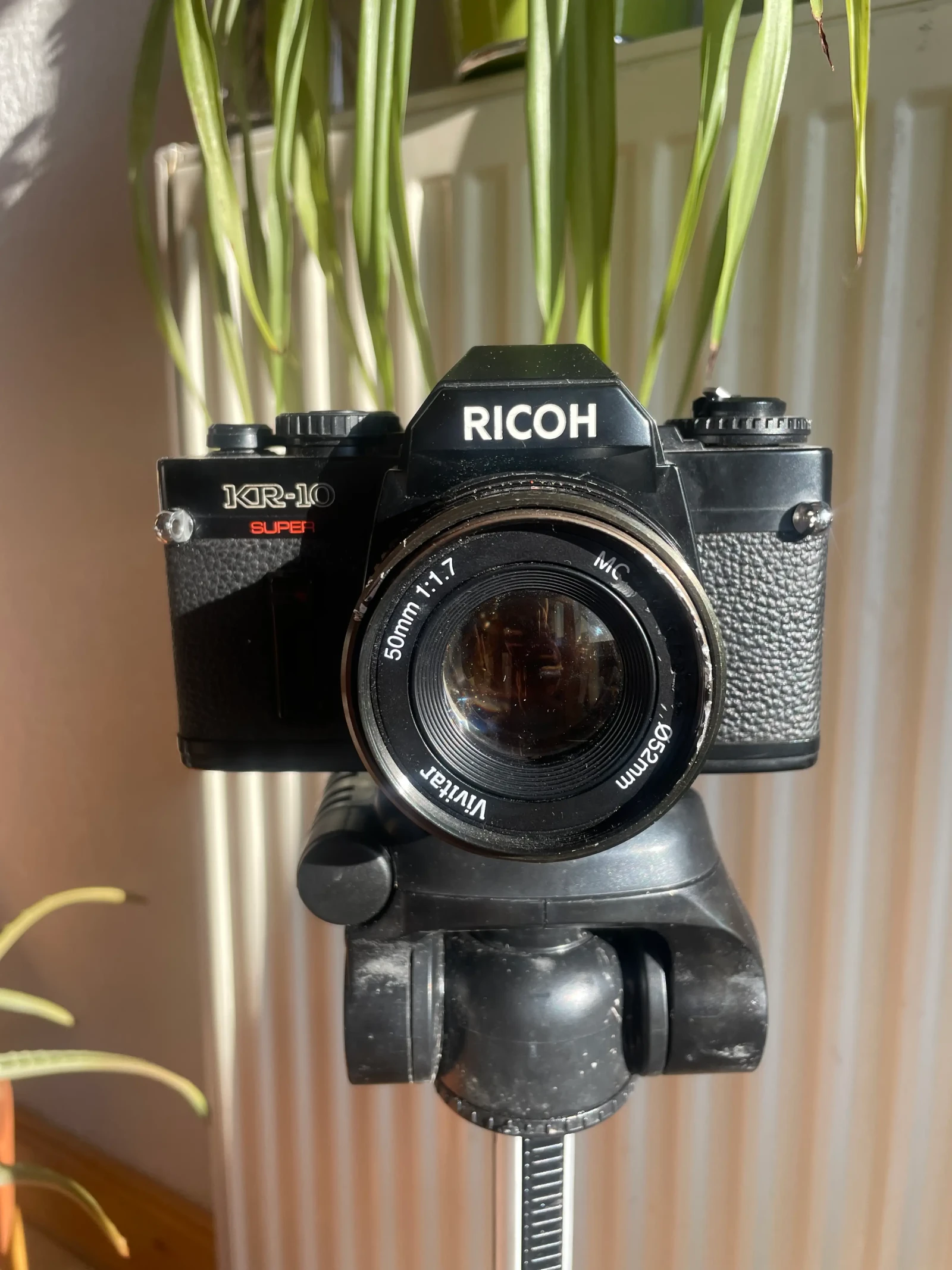Vivitar 50mm f1.7 - Photo 1 sur 1
