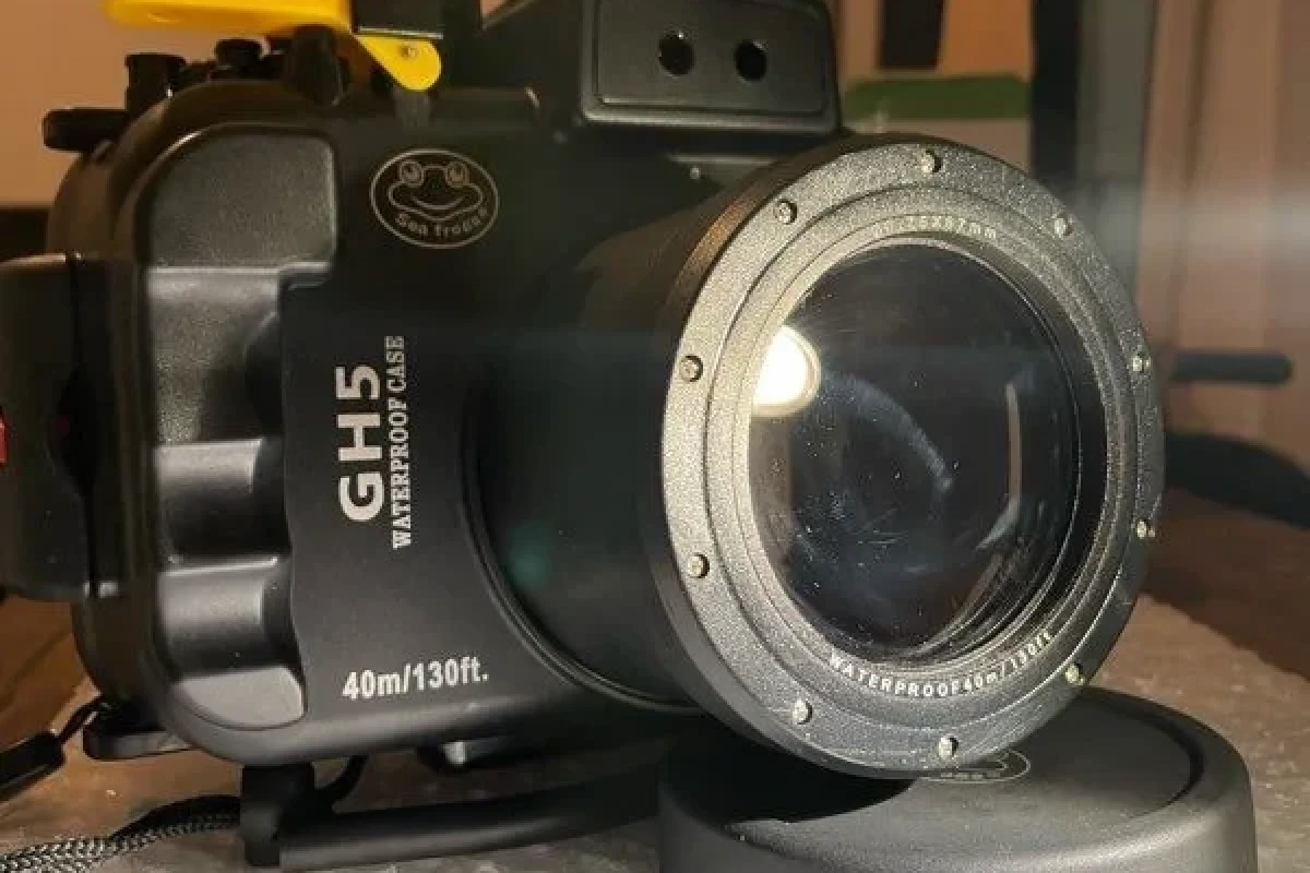 Location Sea frogs Caisson étanche GH5/GH5S - Lightyshare