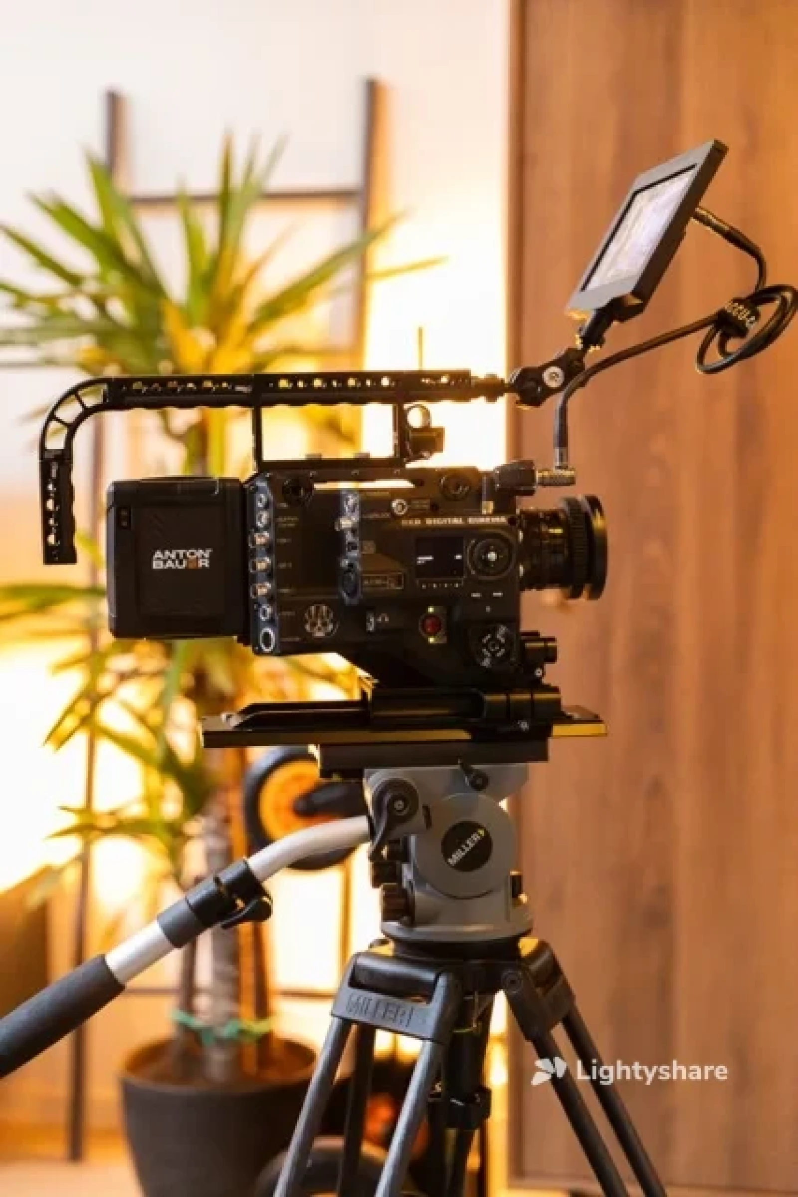 RED RED RANGER MONSTRO 8K VV - Photo 2 sur 4