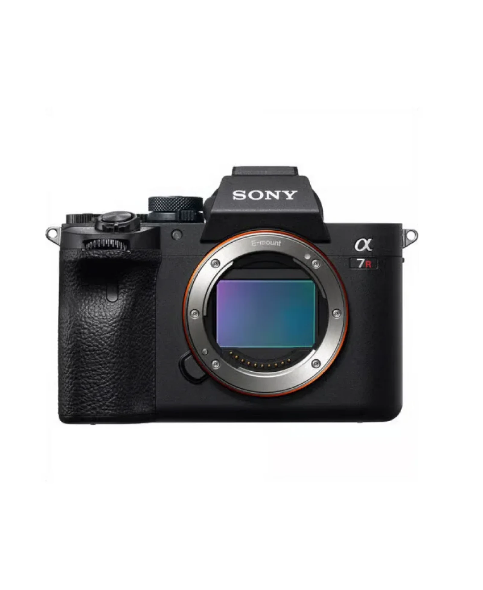 Sony Alpha 7R V (ILCE-7RM5) - Photo 3 sur 4