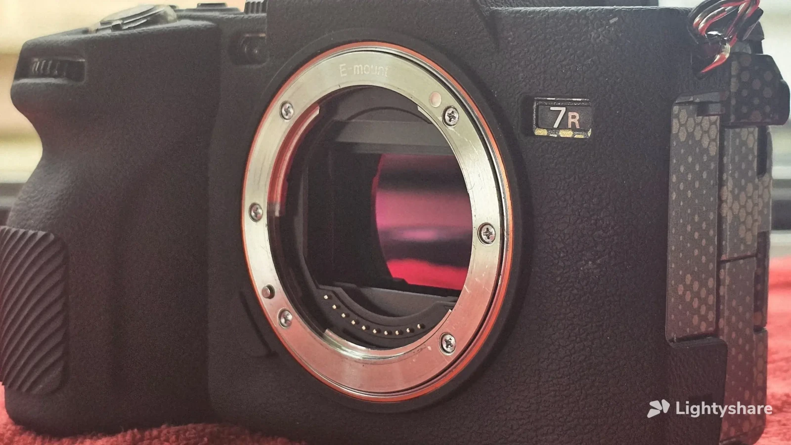 Sony Alpha 7 IV - Photo 3 sur 3