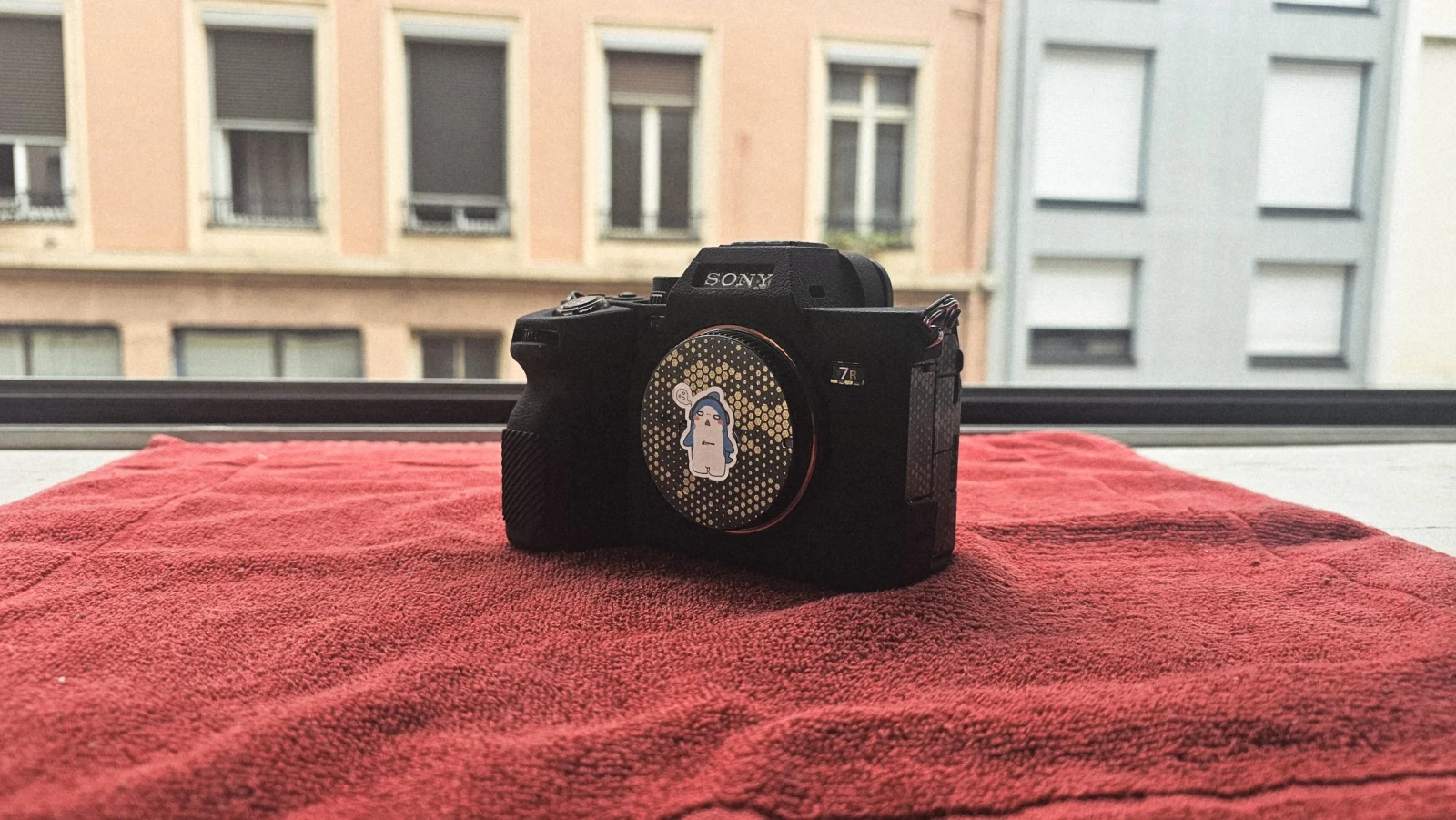 Sony Alpha 7 IV - Photo 1 sur 3
