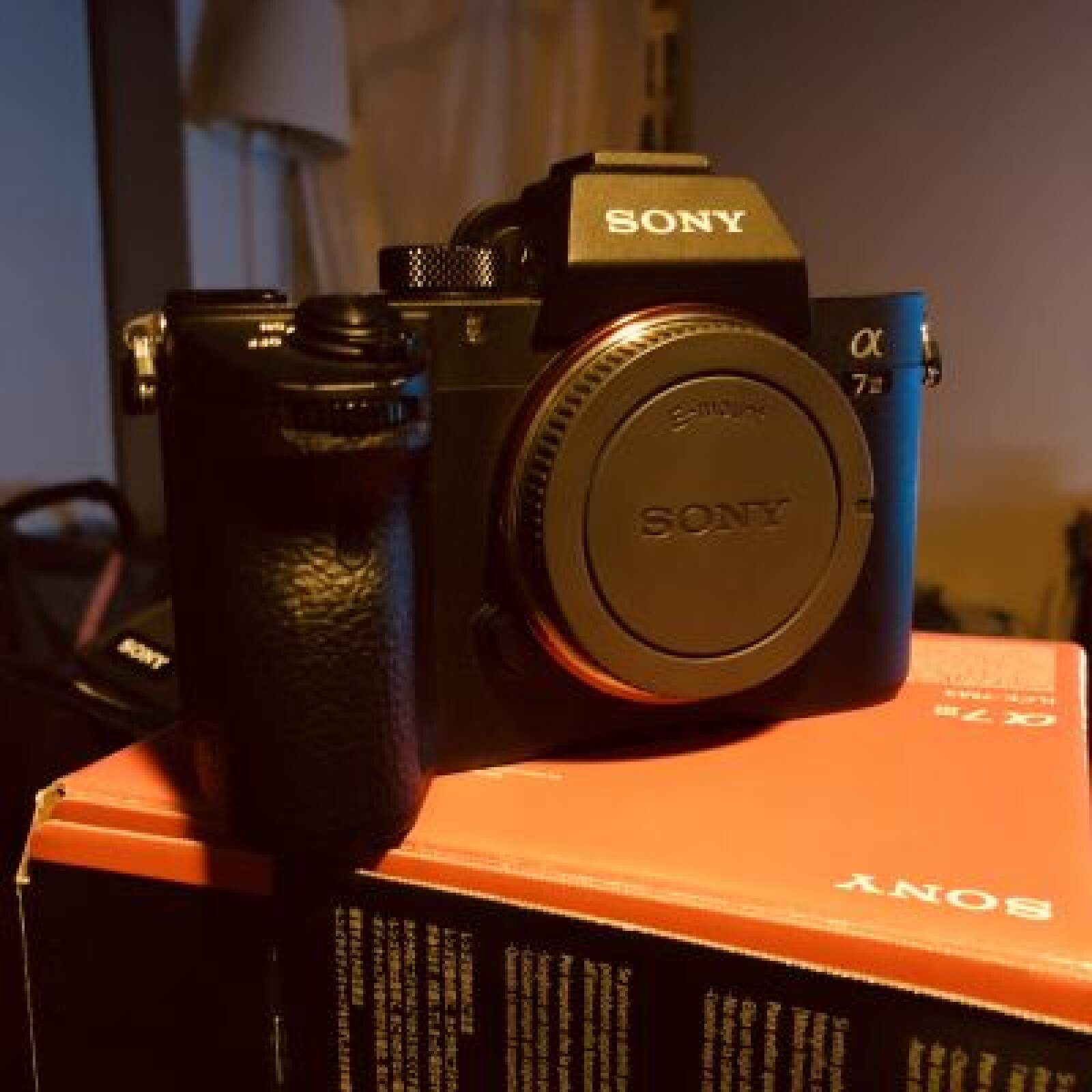 Sony A7 III (A73) - Photo 1 sur 2