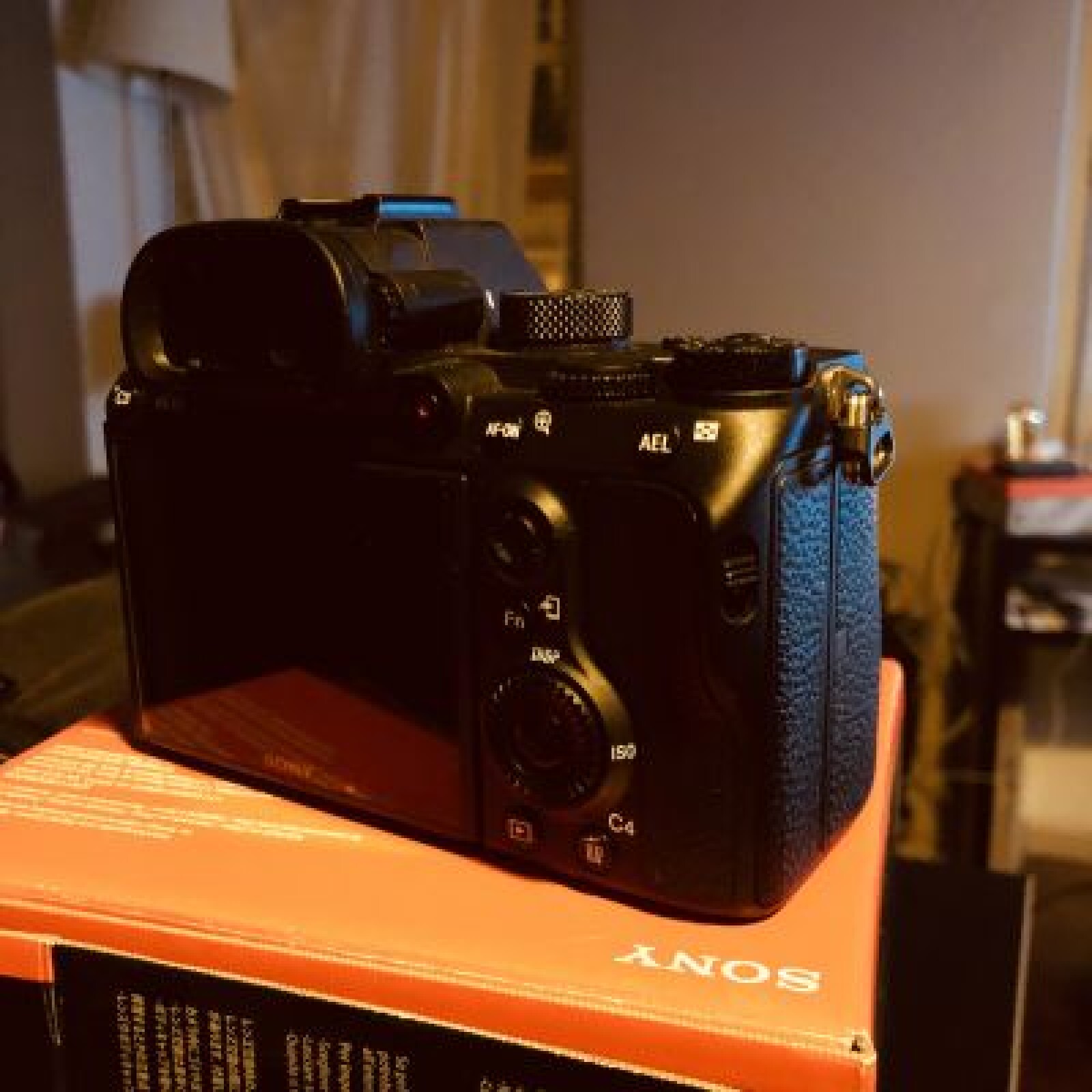 Sony A7 III (A73) - Photo 2 sur 2