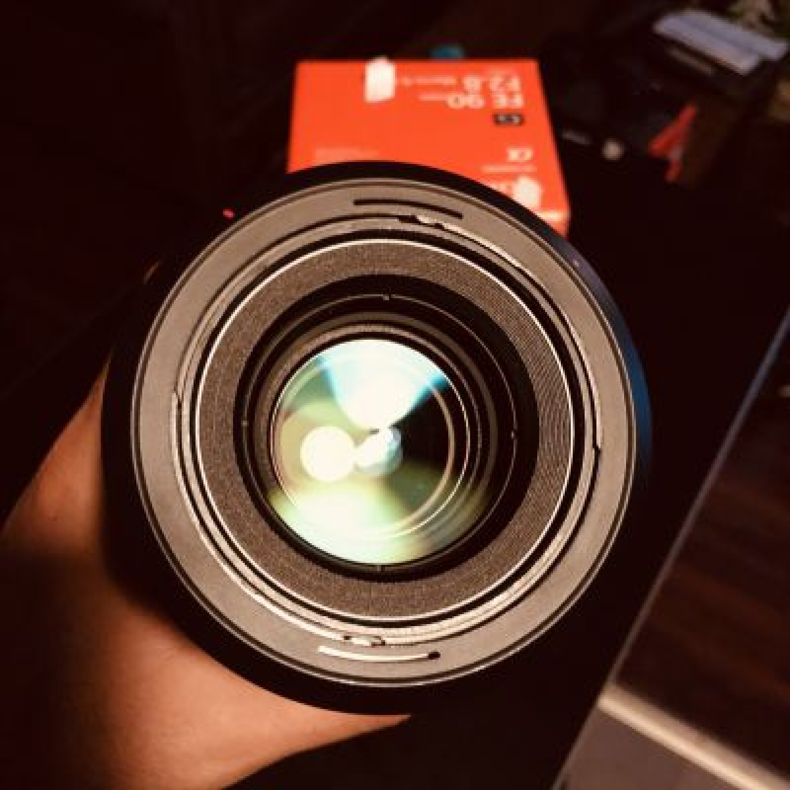 Sony 90mm macro  G F2.8 OSS FE - Photo 2 sur 4