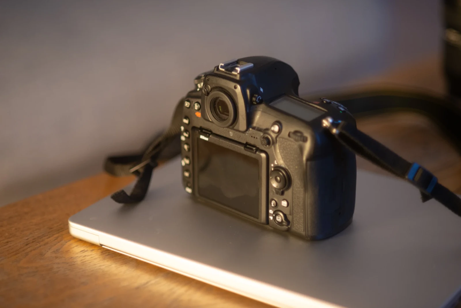 Nikon D850 - Photo 2 sur 4