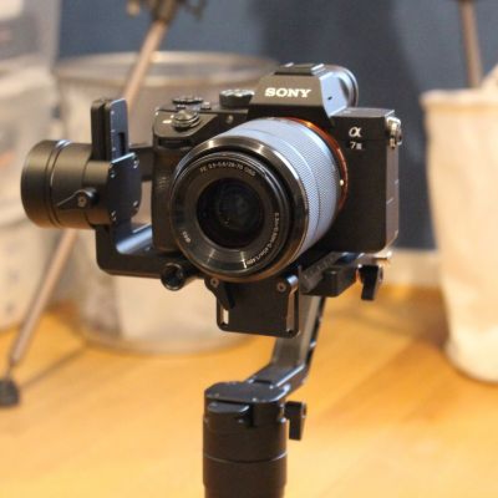 Sony Alpha 7 III (A73) - Photo 1 sur 5