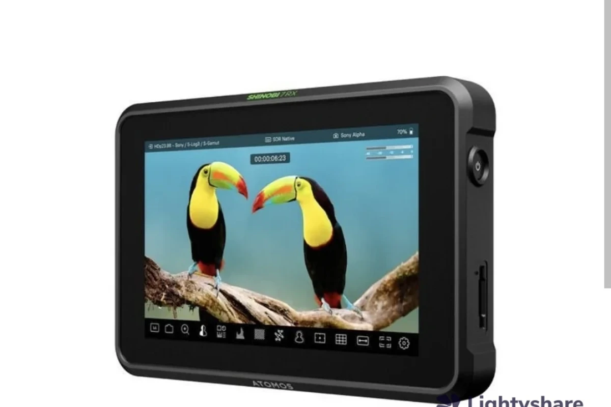 Location Atomos SHINOBI 7 - Lightyshare