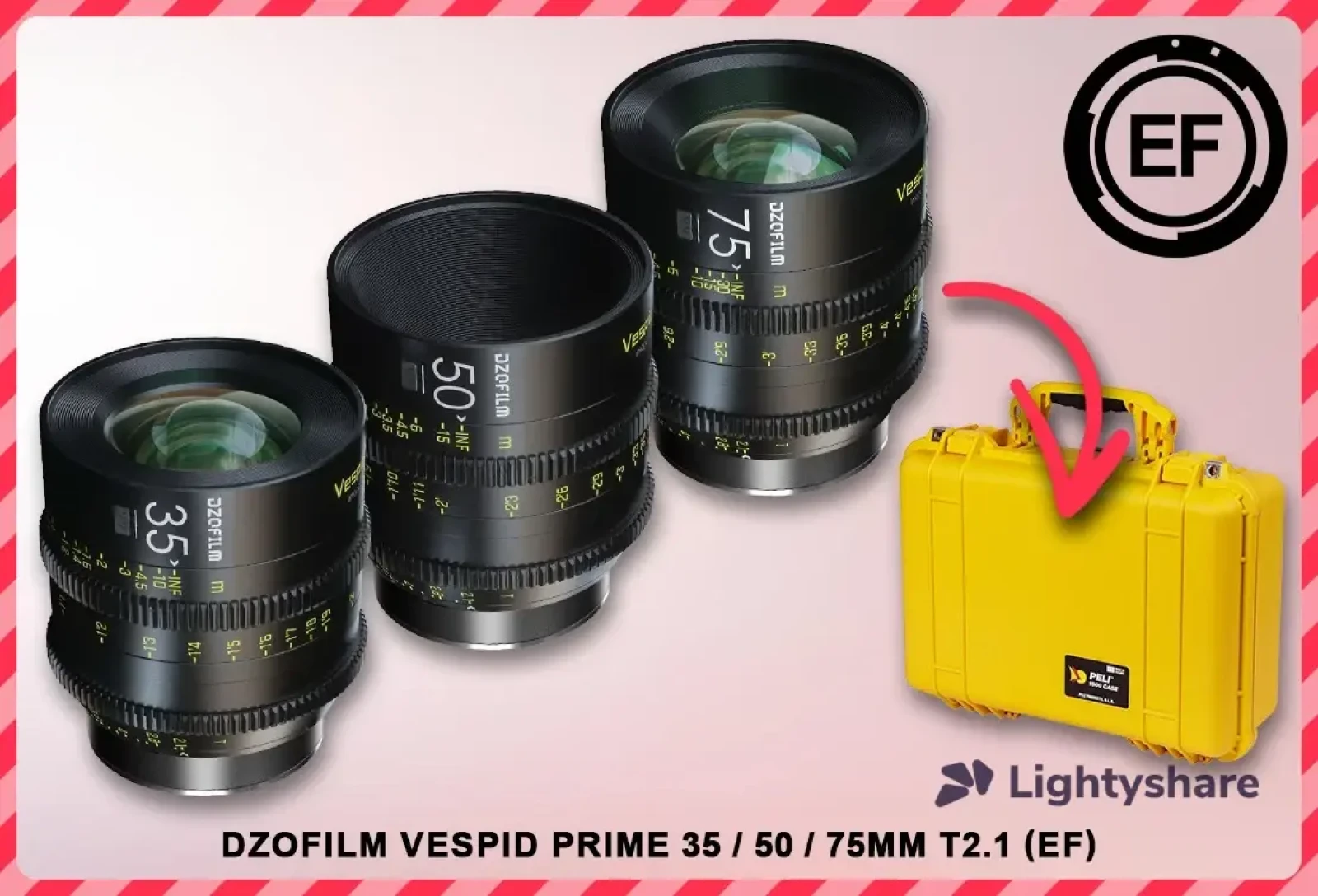 Série Vespid Primes T2.1 35/50/75 (EF) - Photo 1 sur 1